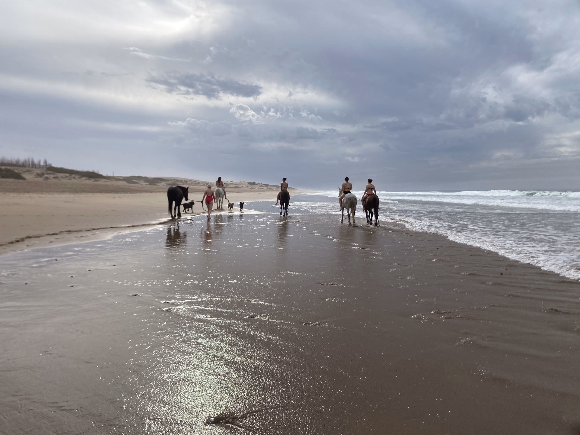 Randonnée équestre entre plages, déserts et palmeraies au Maroc