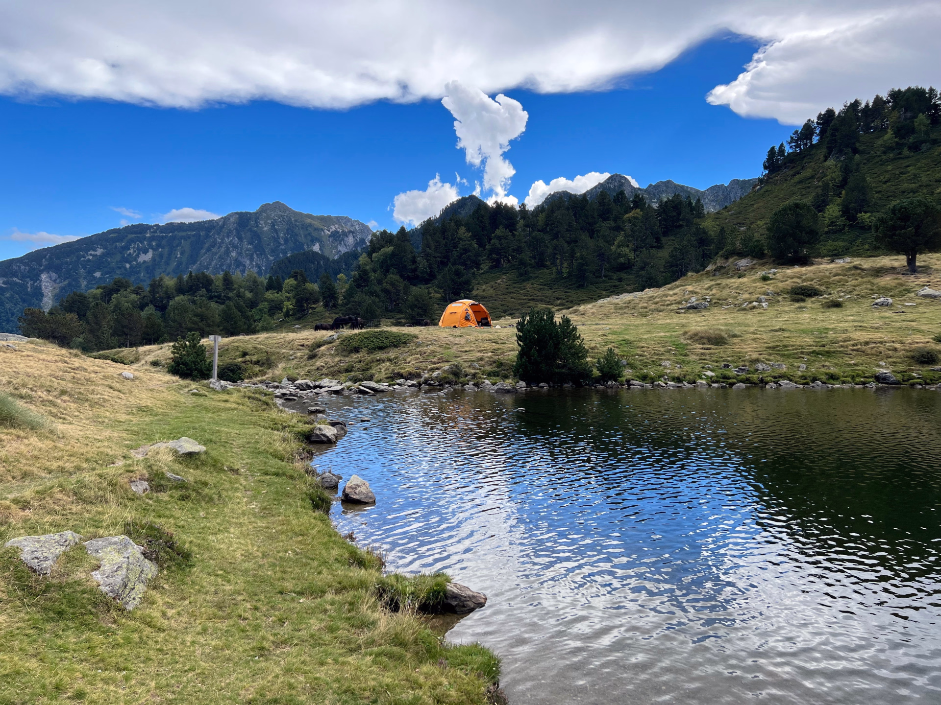 ⛺️ Bivouac/tente
