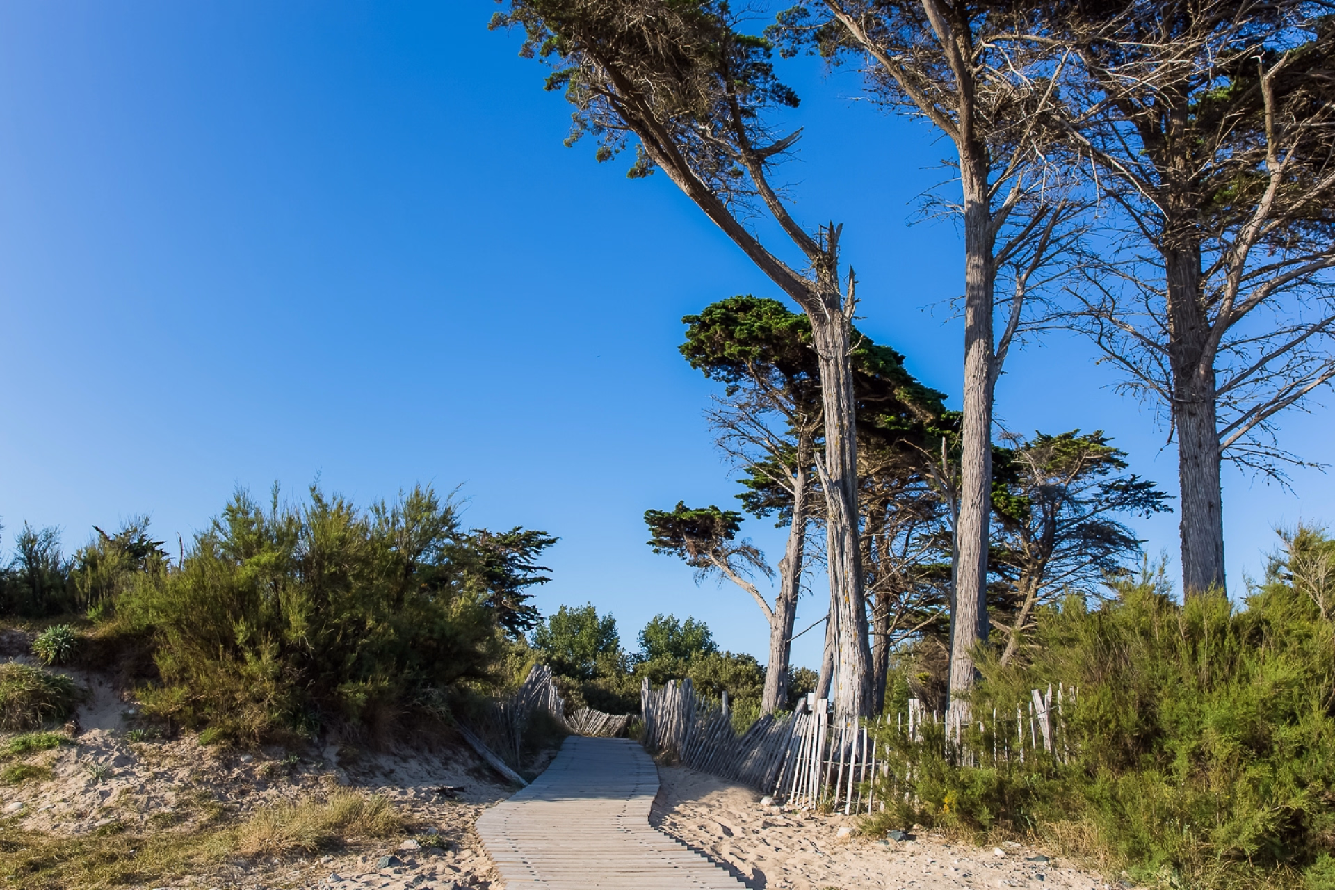 Stage kitesurf x Tribord : immersion exclusive dans le sud ouest