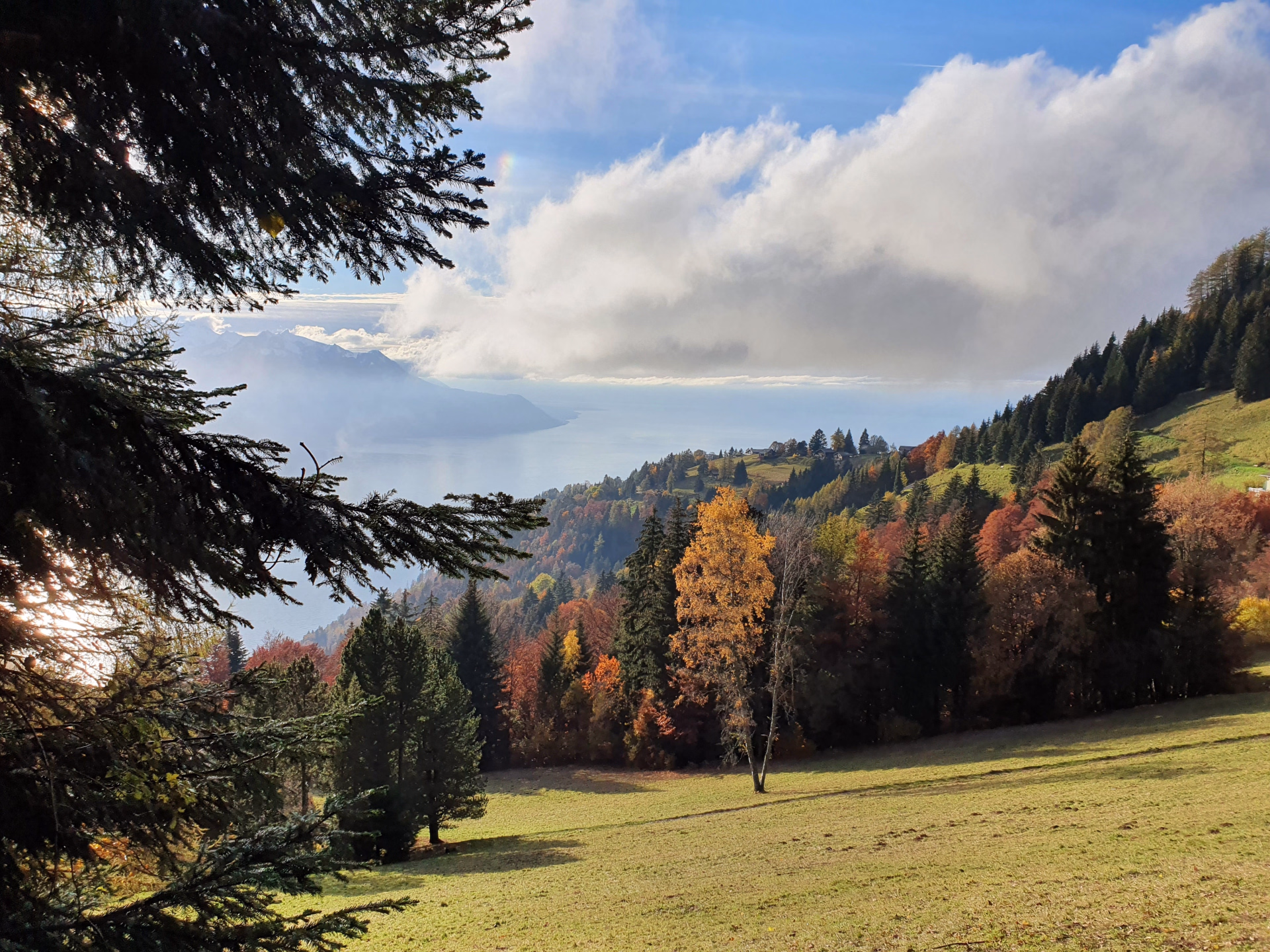 Randonnées automnales au cœur des plus beaux paysages suisses