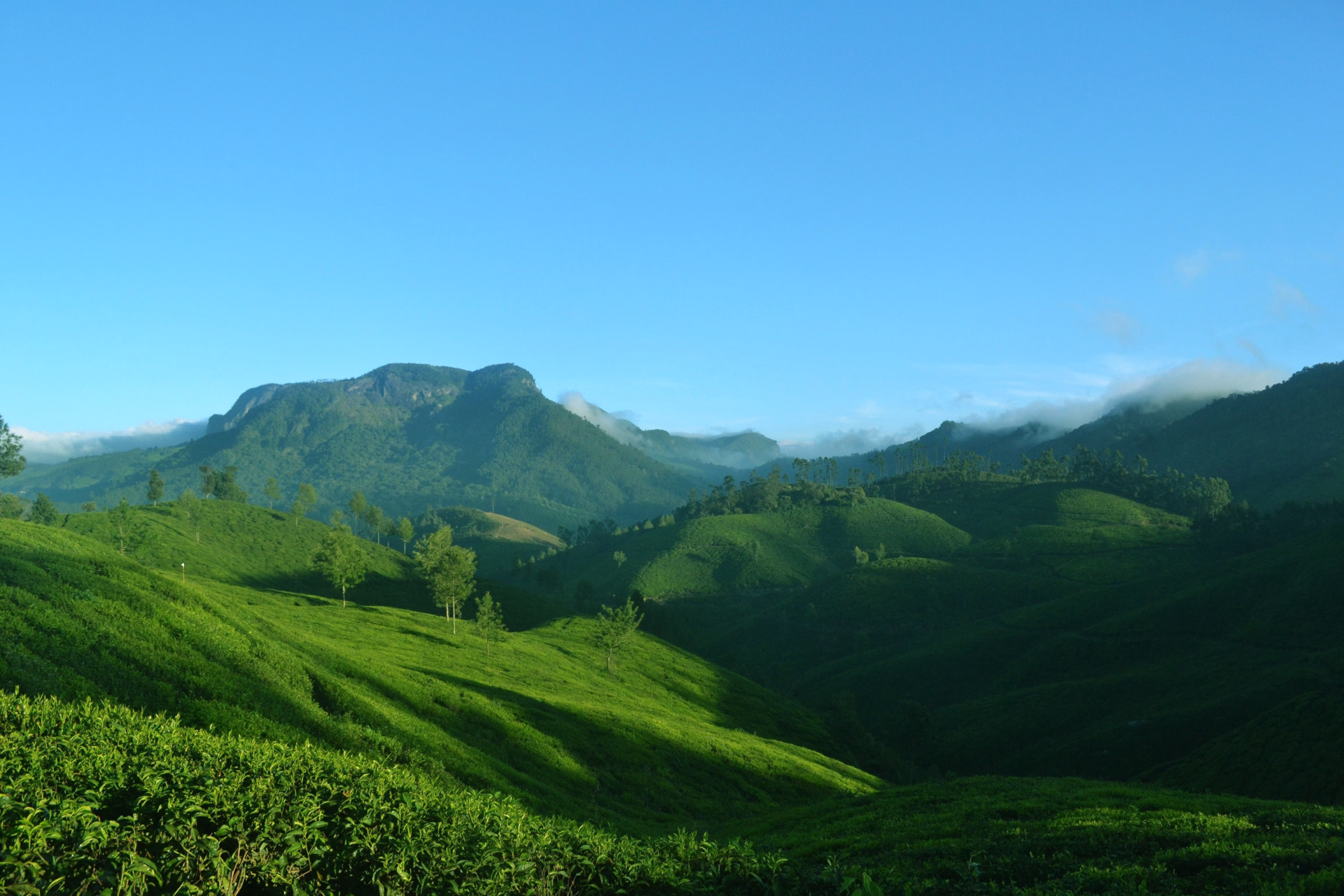 L'Inde du sud à vélo