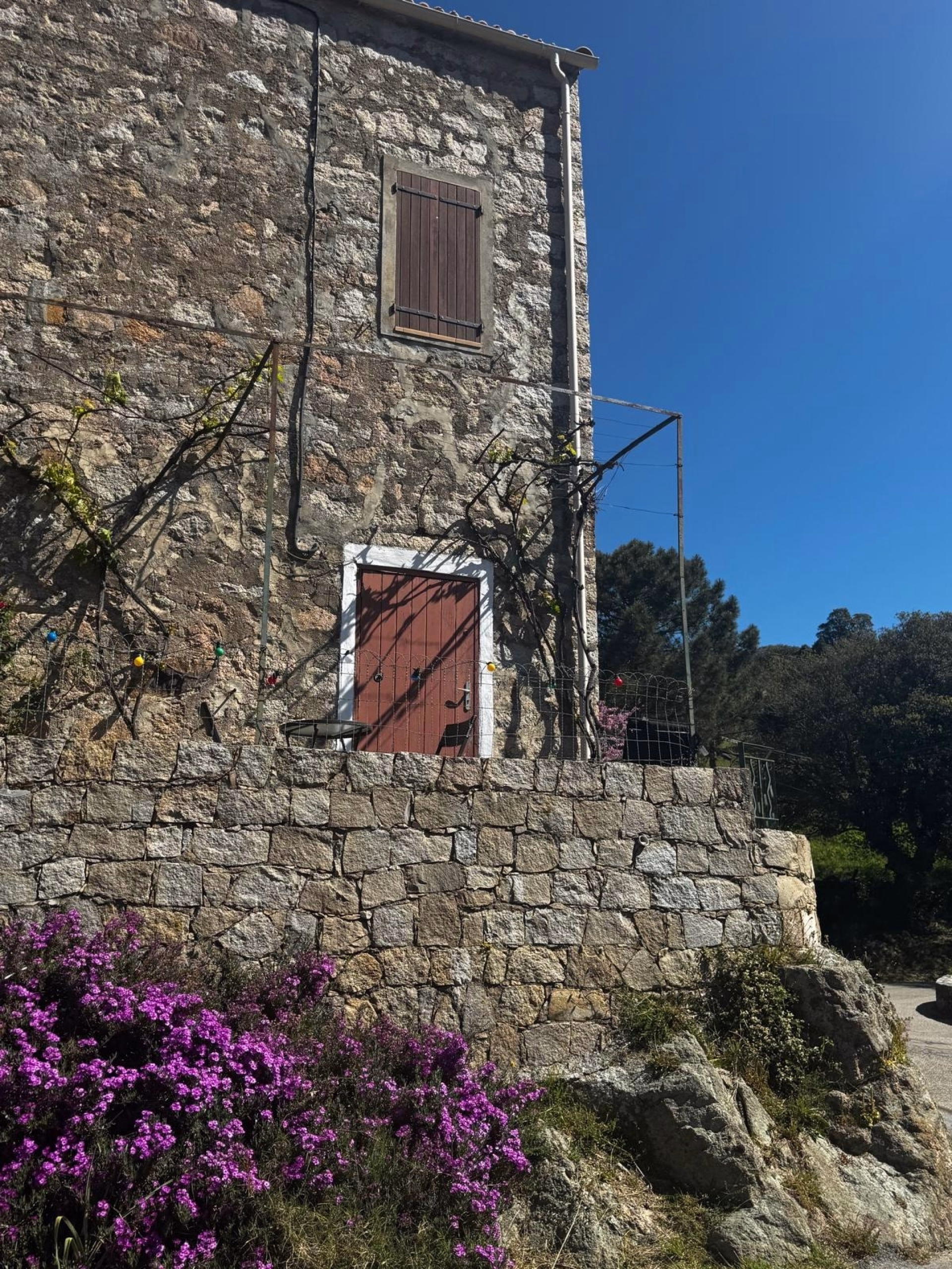 Randonnée équestre sur les chemins de transhumance en Corse