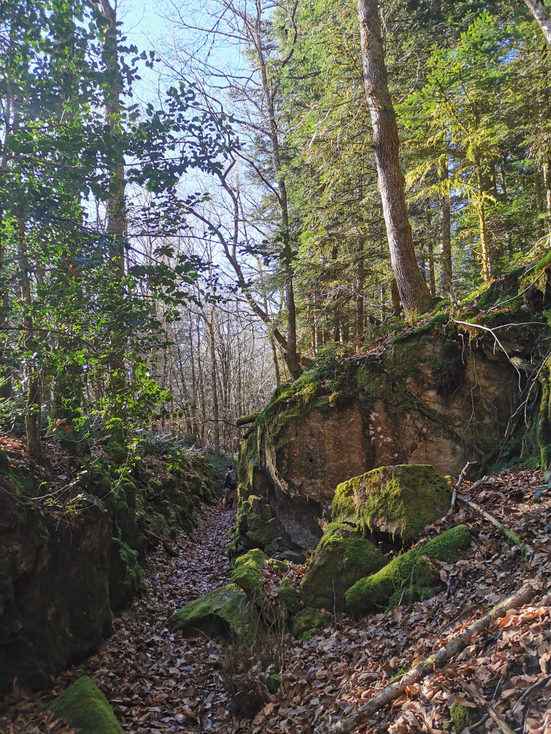 Aventure et jeu de piste en famille en Haute-Corrèze