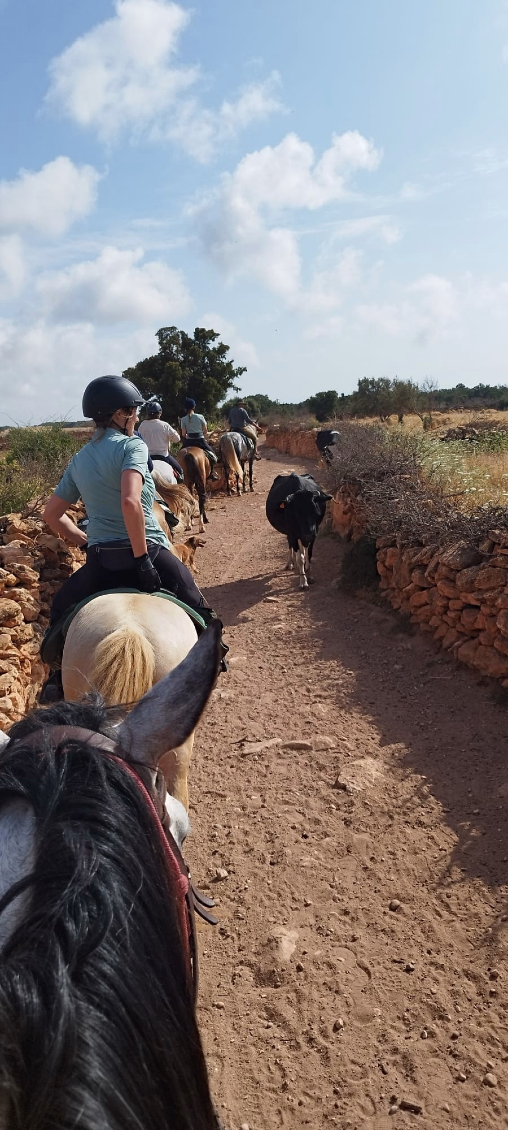 La Boucle d'Argana - Randonnée équestre à Essaouira