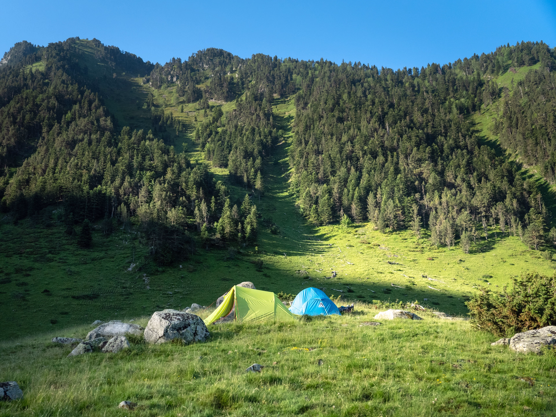 ⛺️ Bivouac / Tente