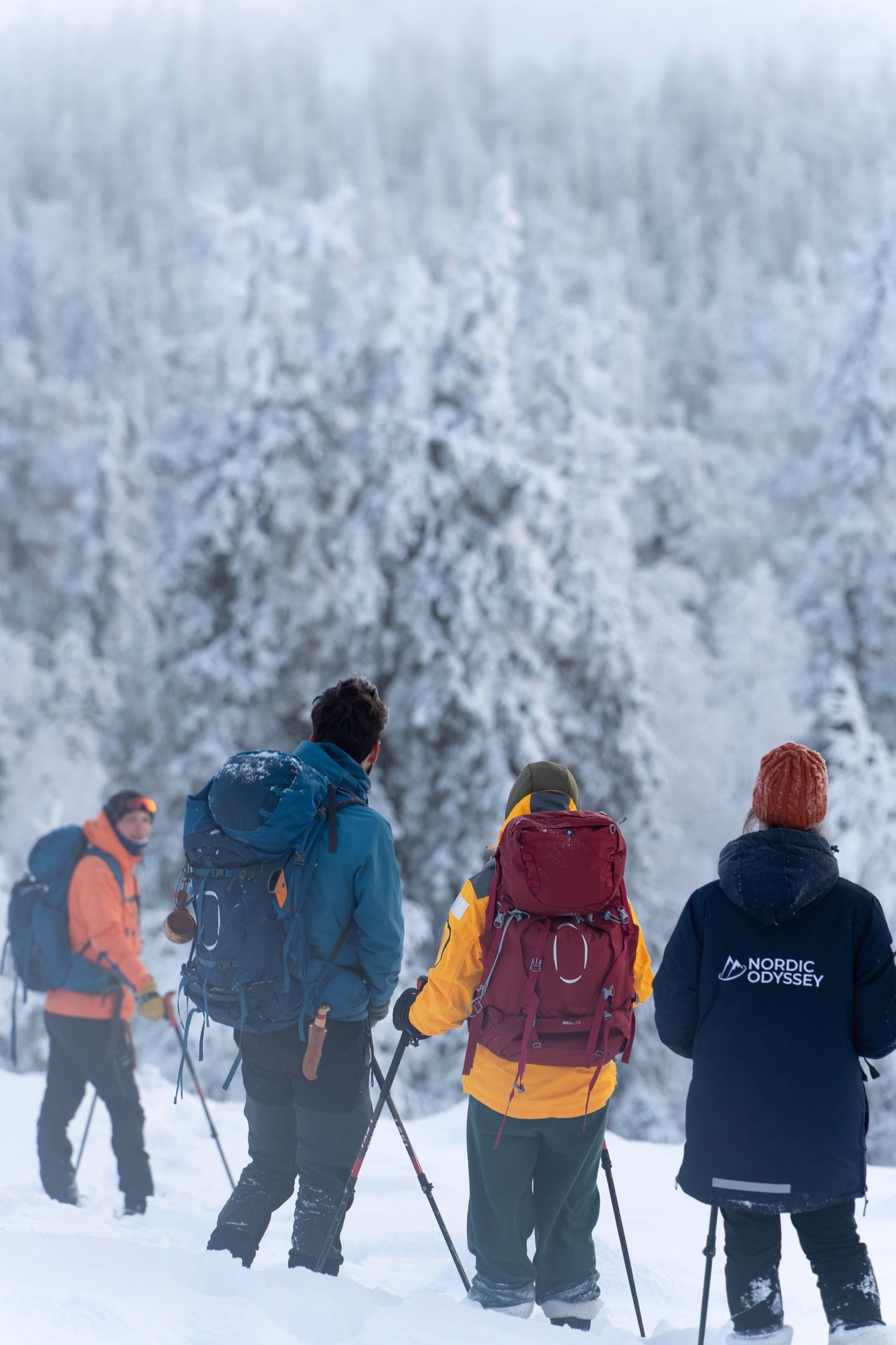 Séjour intimiste en immersion au coeur de la Laponie Finlandaise
