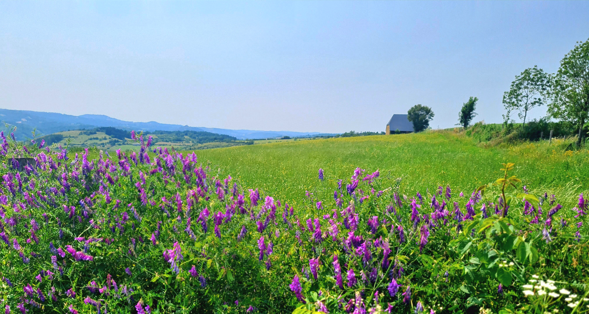 Vachement randonnée au coeur de l'Aubrac