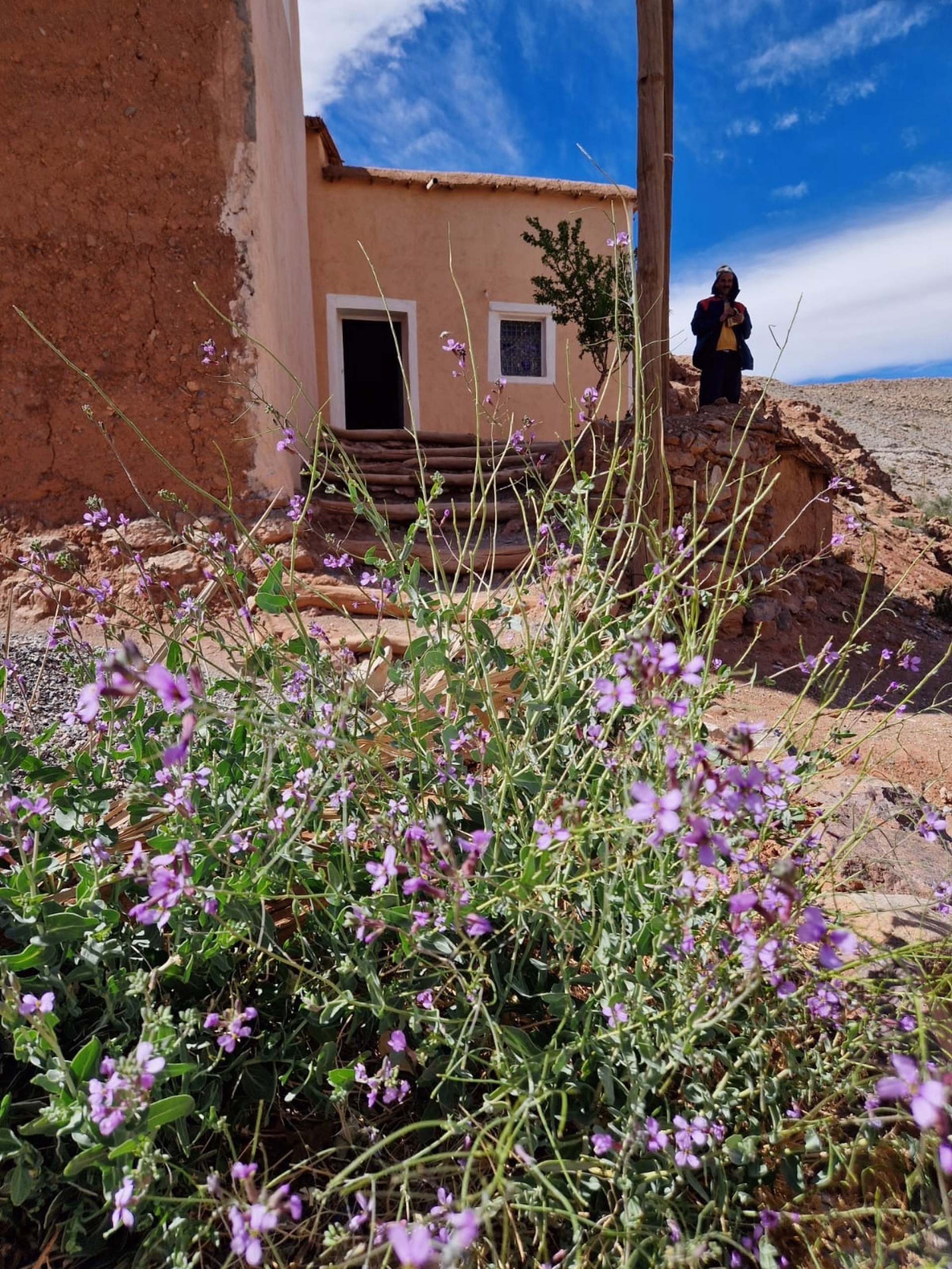 Le Sentier des 1000 Kasbahs : Découverte de la région de Ouarzazate