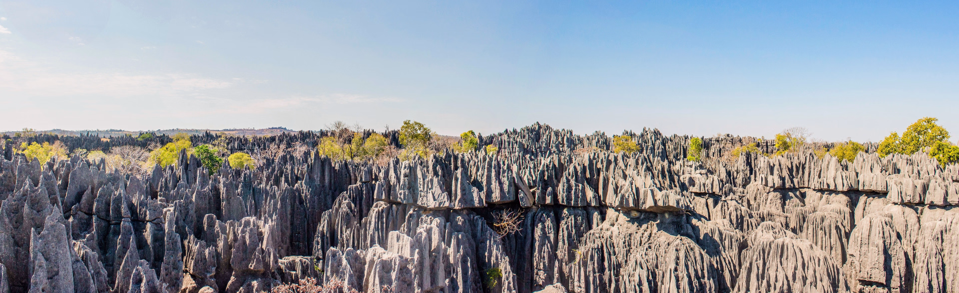 Madagascar terre d'aventure : Tsingy, canyoning et rencontres