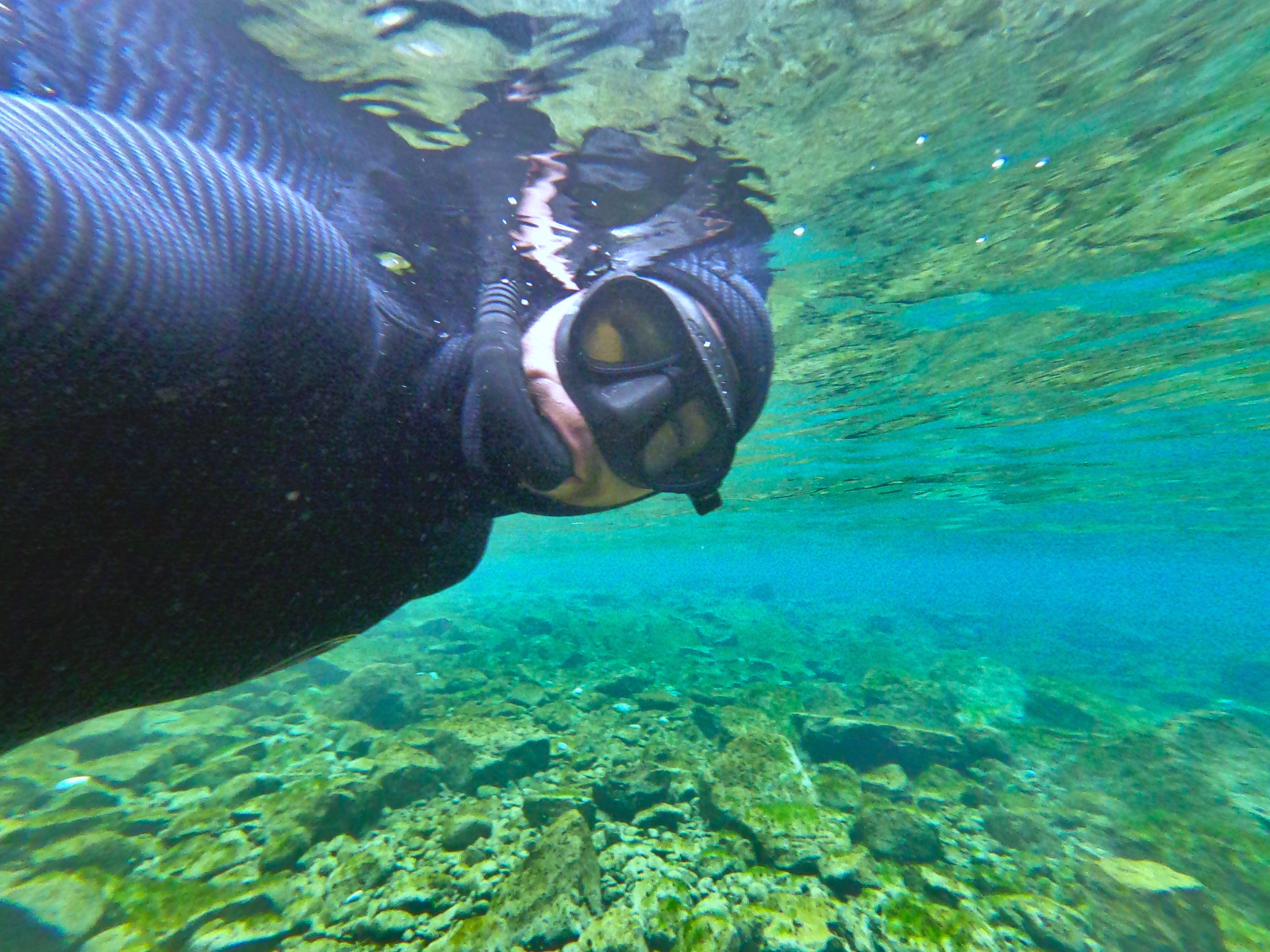 Votre niveau 1 d'apnée et de plongée au Lac Léman
