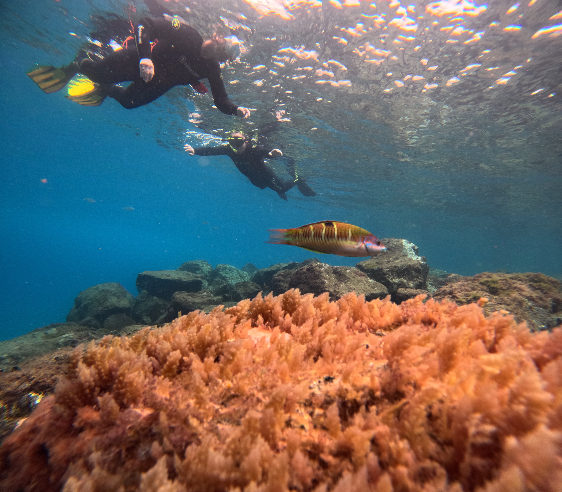 Première aventure sous-marine en famille à Tenerife