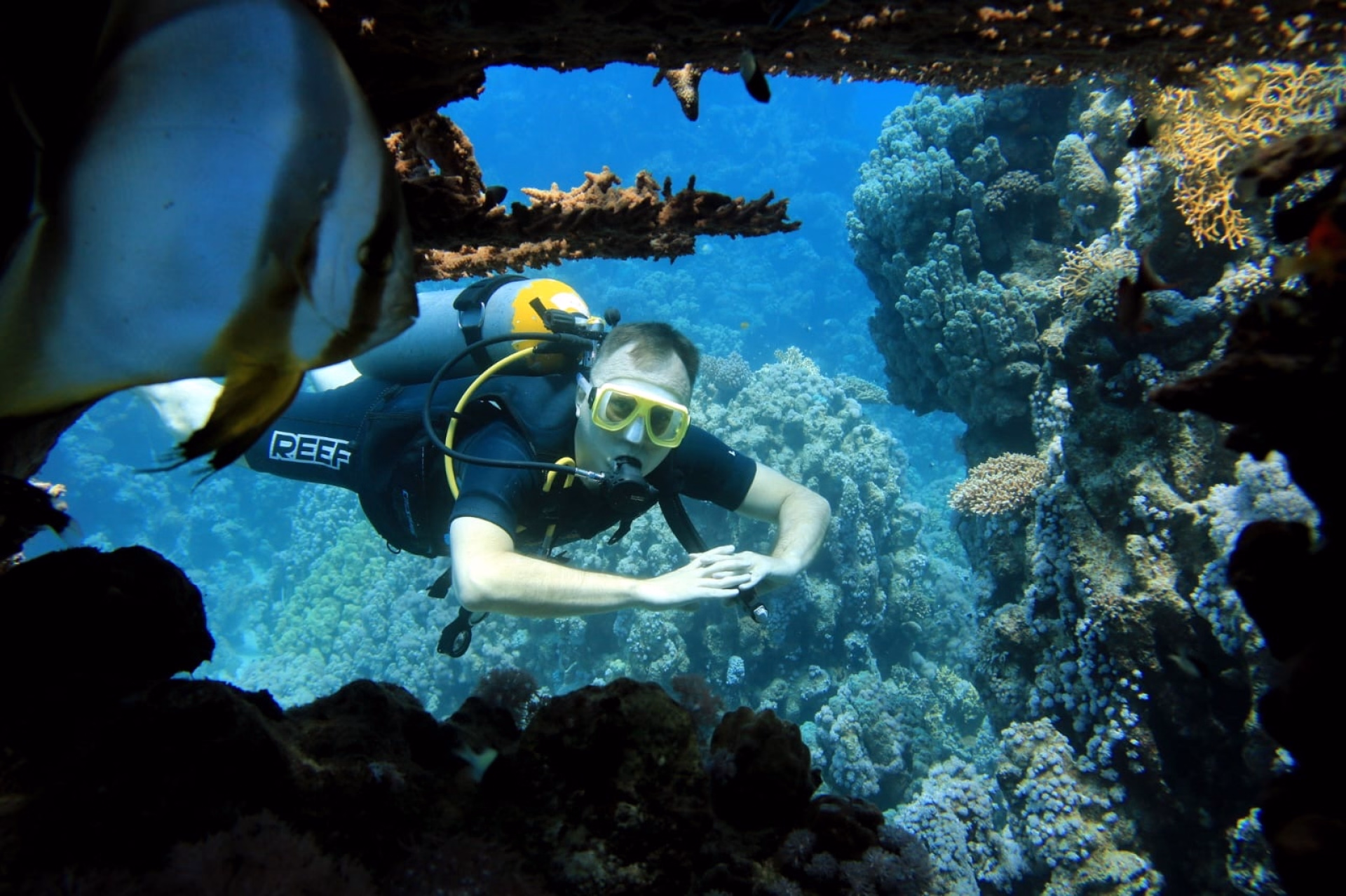 Séjour snorkeling en famille personnalisable à Sharm El-Cheikh