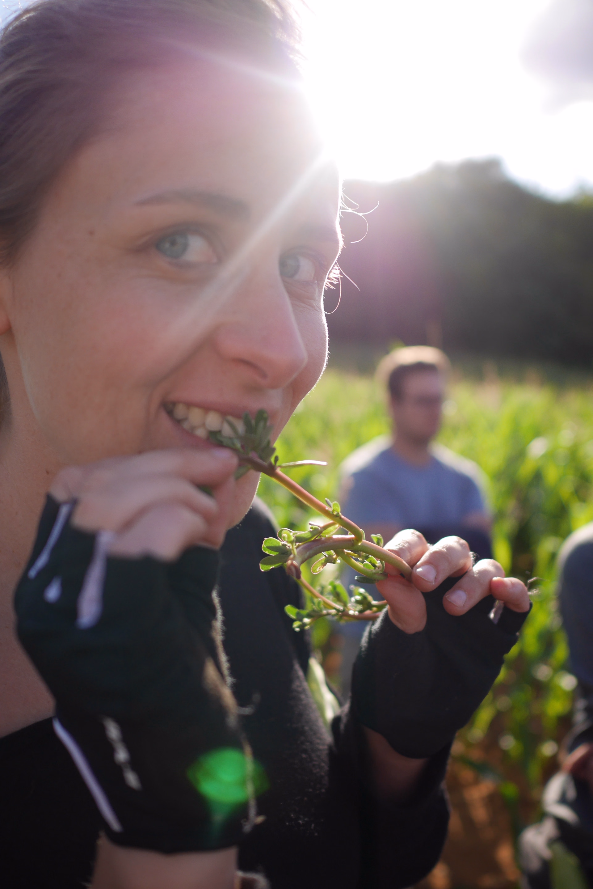 Micro-aventure sauvage en Belgique