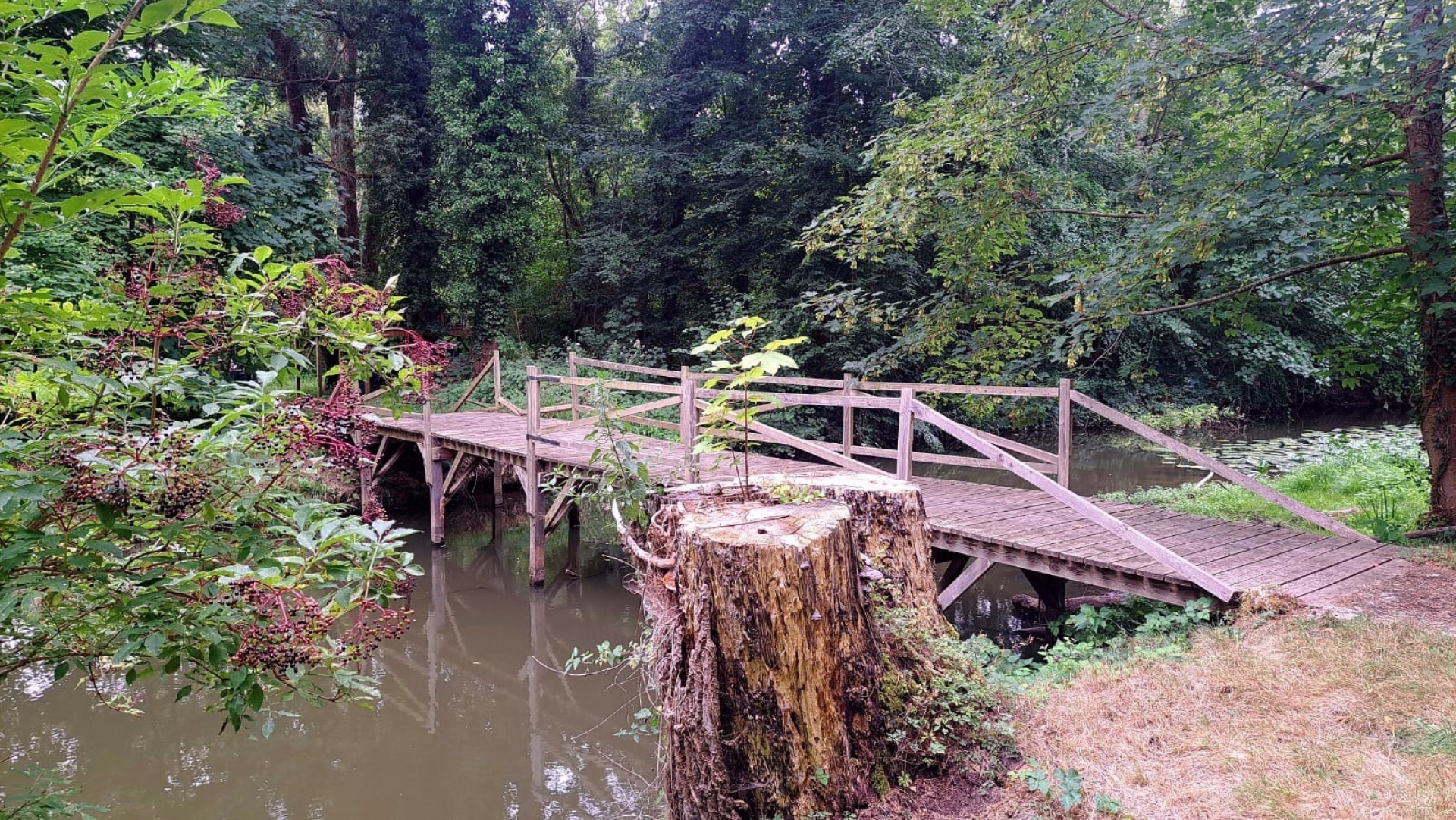 Week-end yoga en vallée de Chevreuse à 1h de Paris
