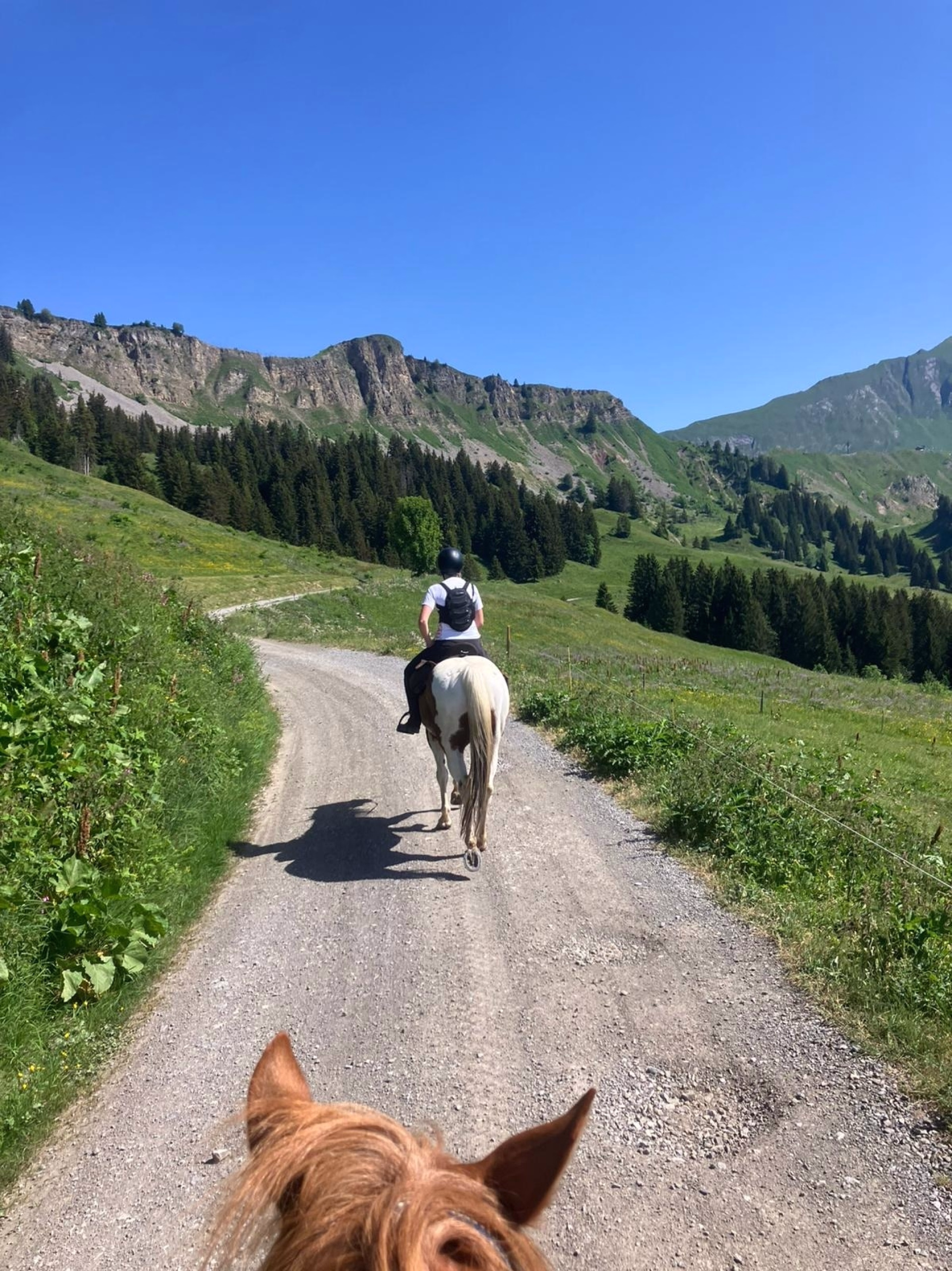 Séjour cheval et bien être dans les Aravis
