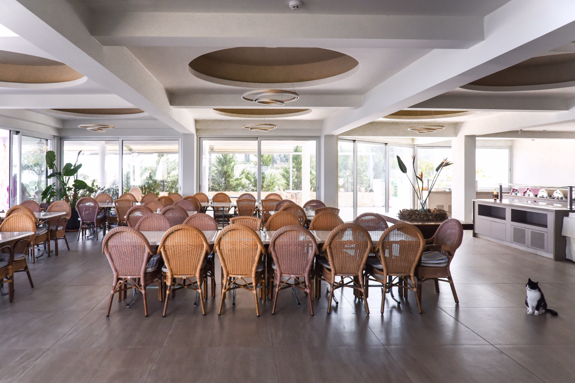 🏩 Hôtel rural - Jours 1 à 4