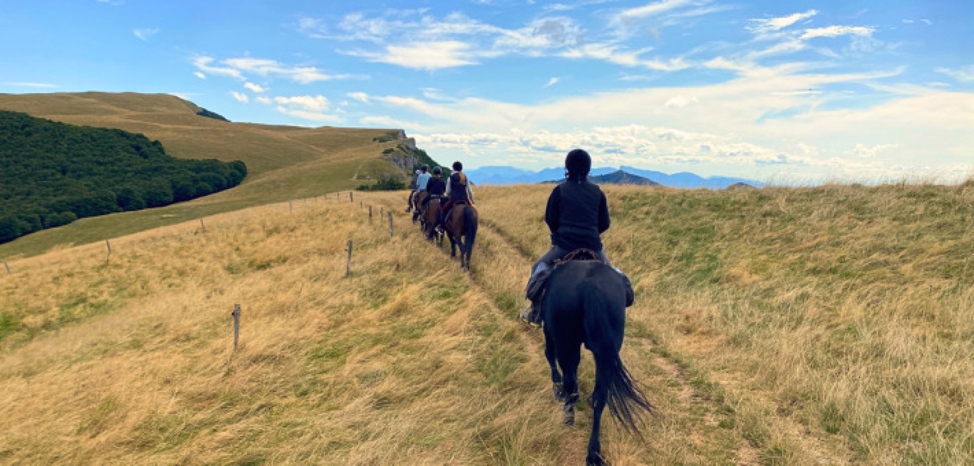 Randonnée à cheval sur les plateaux du Vercors