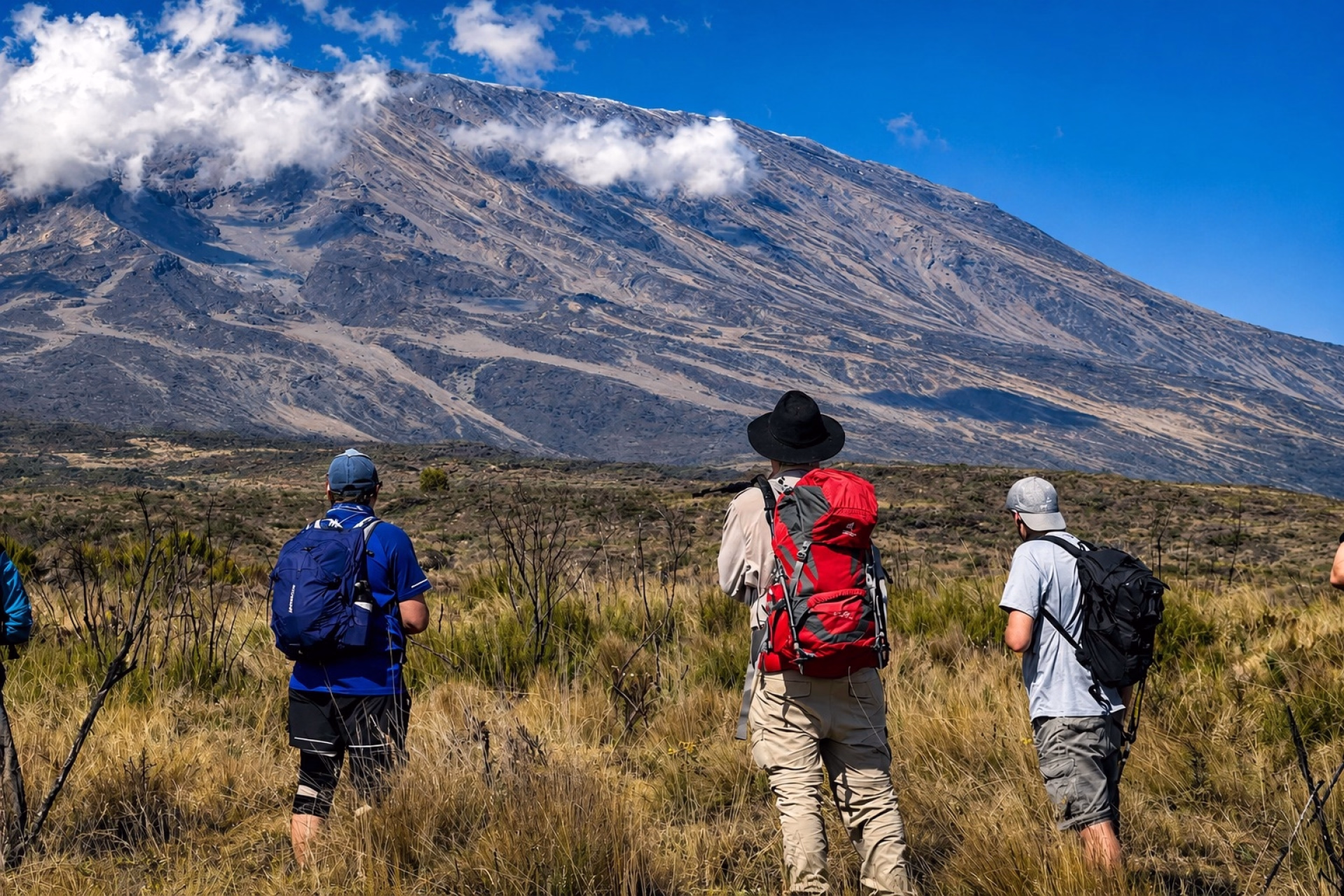 7 jours de trek au Kilimandjaro via la route Marangu
