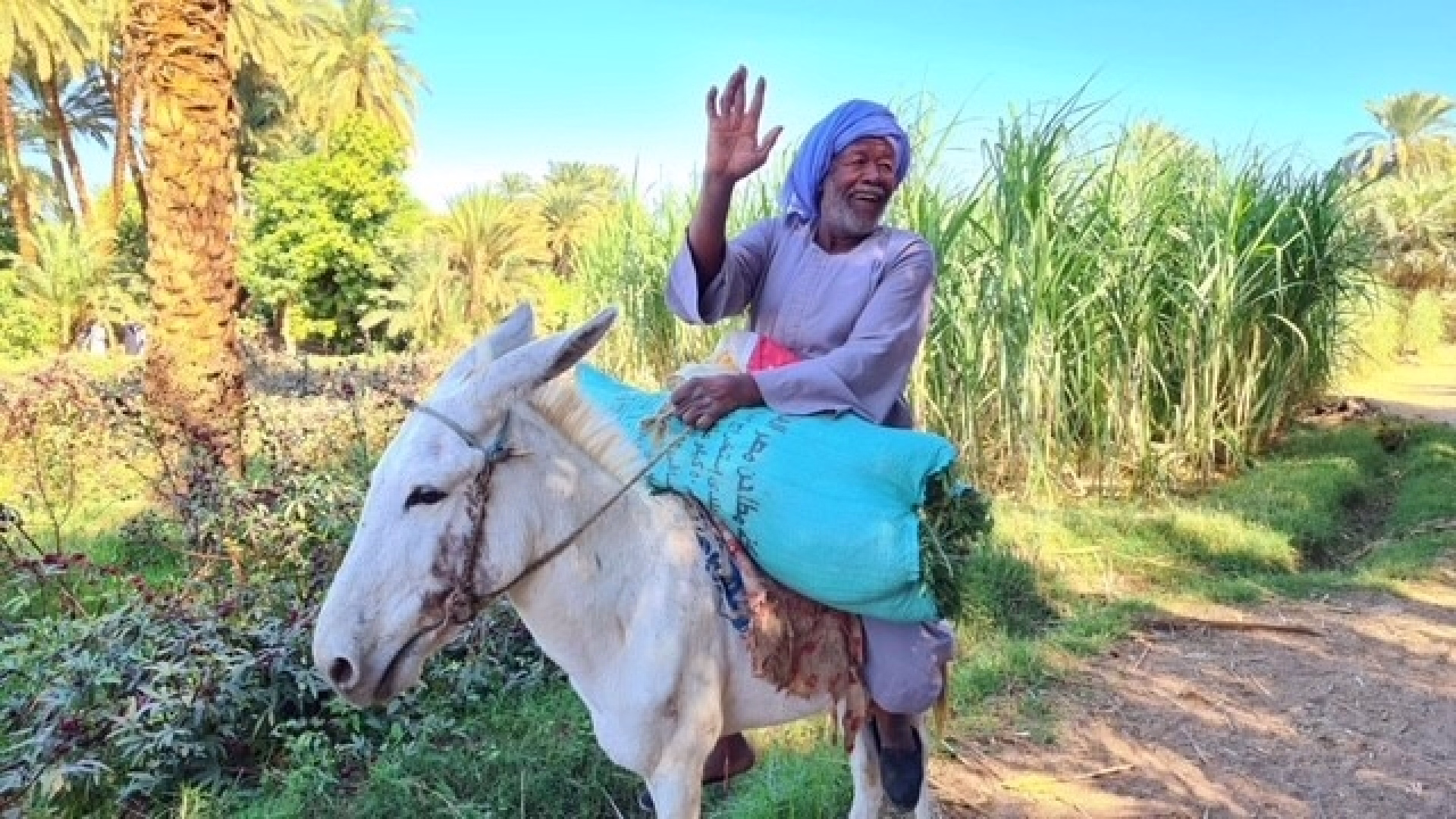 Désert blanc, Caire et croisière en voilier de Louxor à Assouan