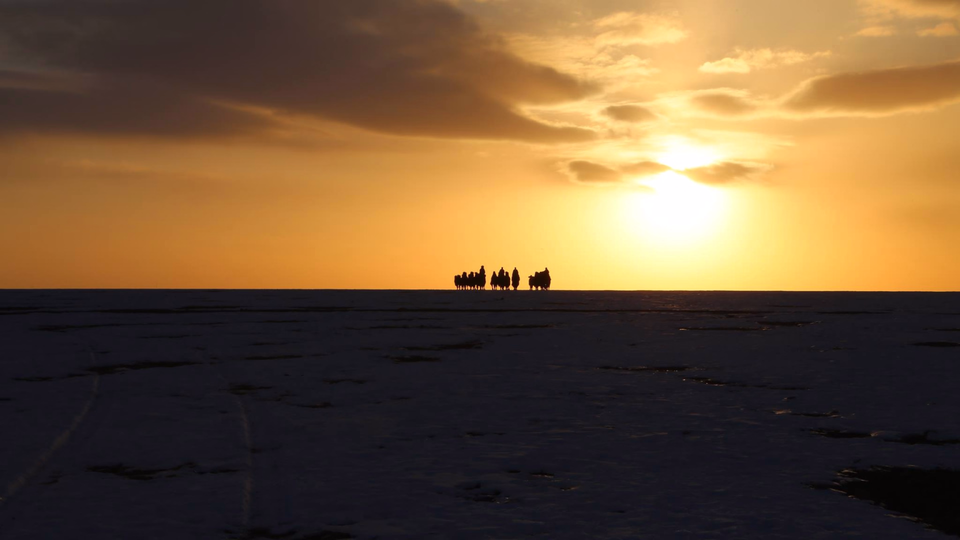 Trek et expédition 4x4 dans le désert de Gobi