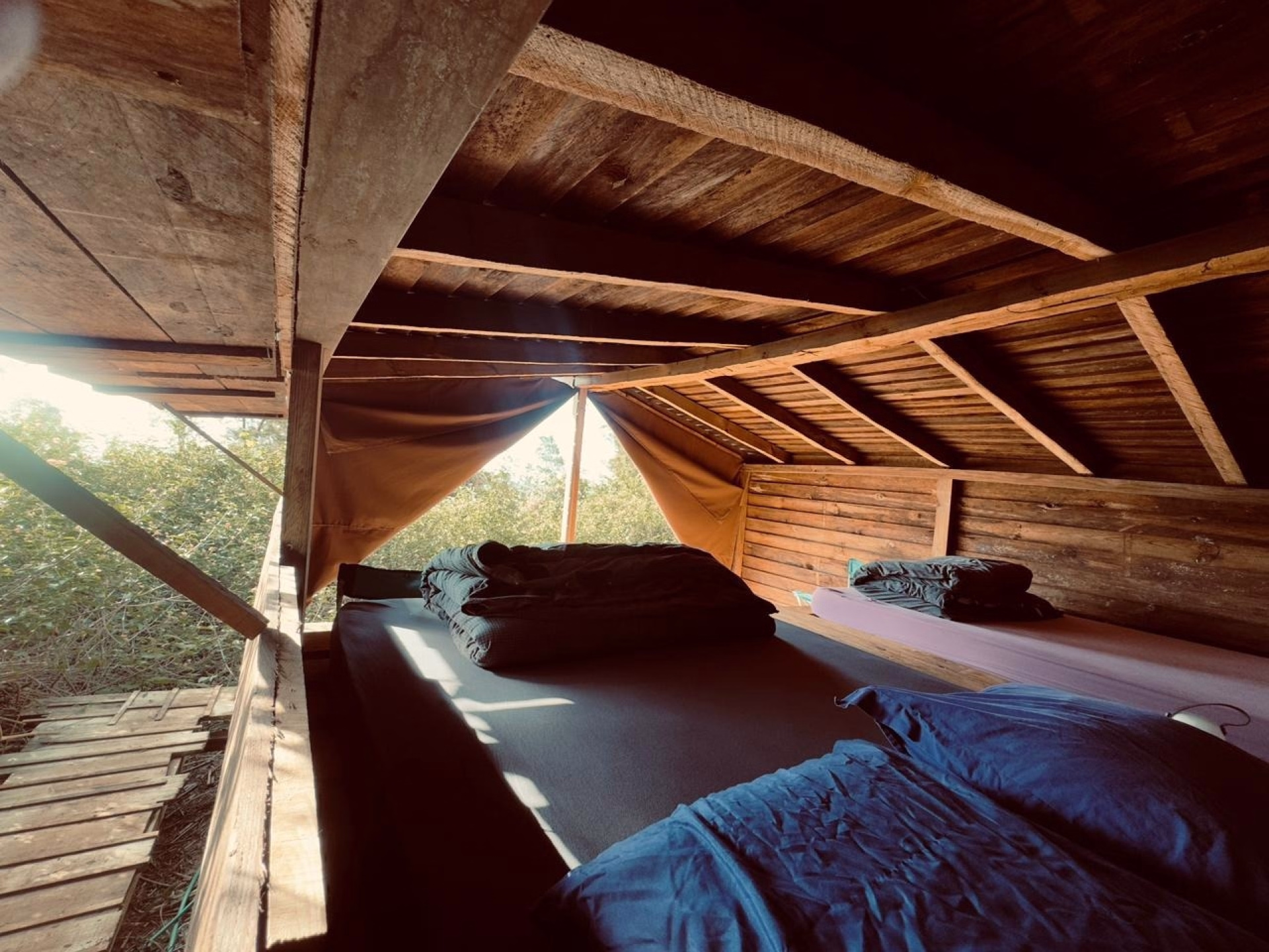 🏠 Lodge - Jours 1 à 6