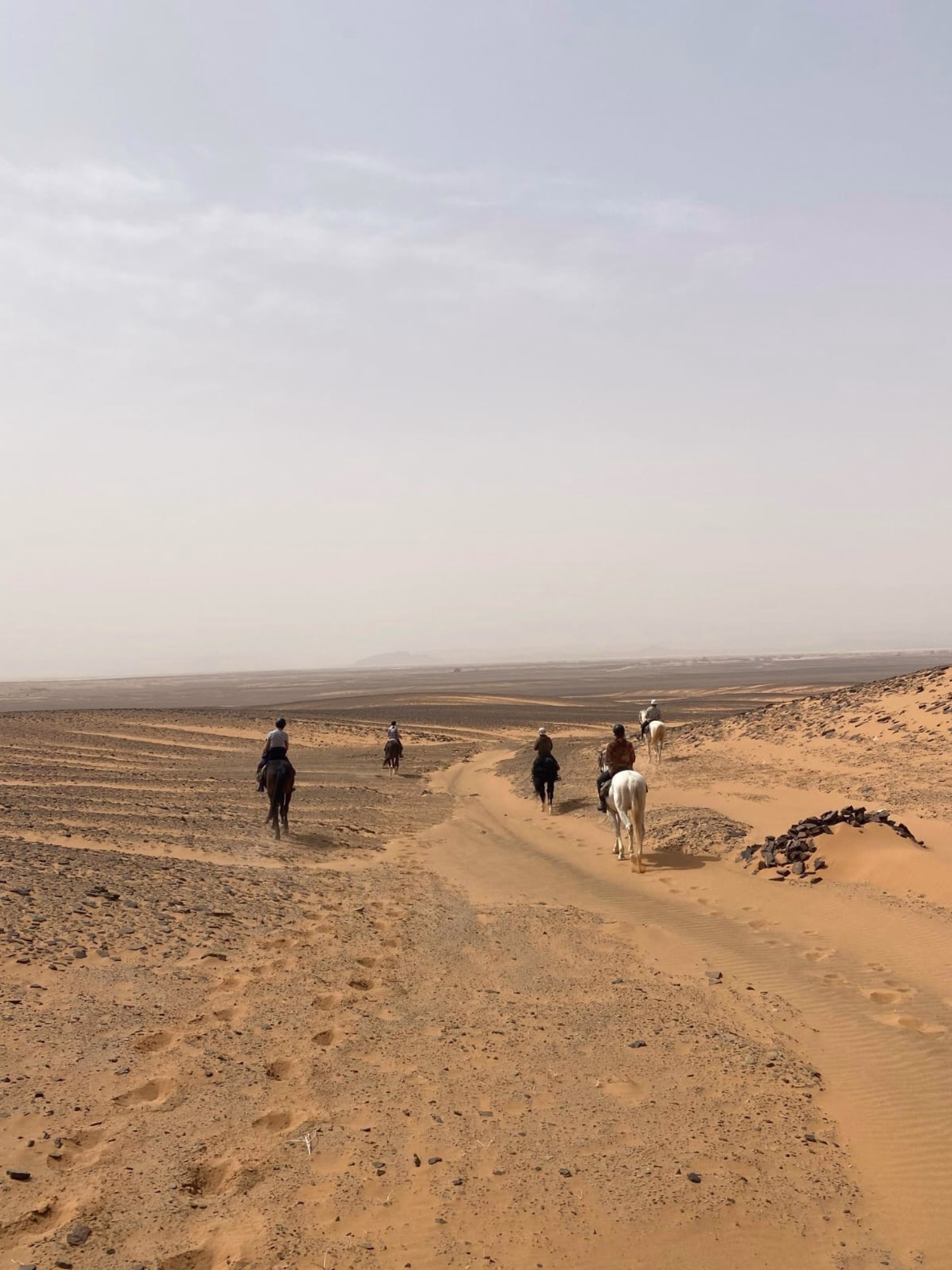 Expédition à cheval aux Portes du Sahara