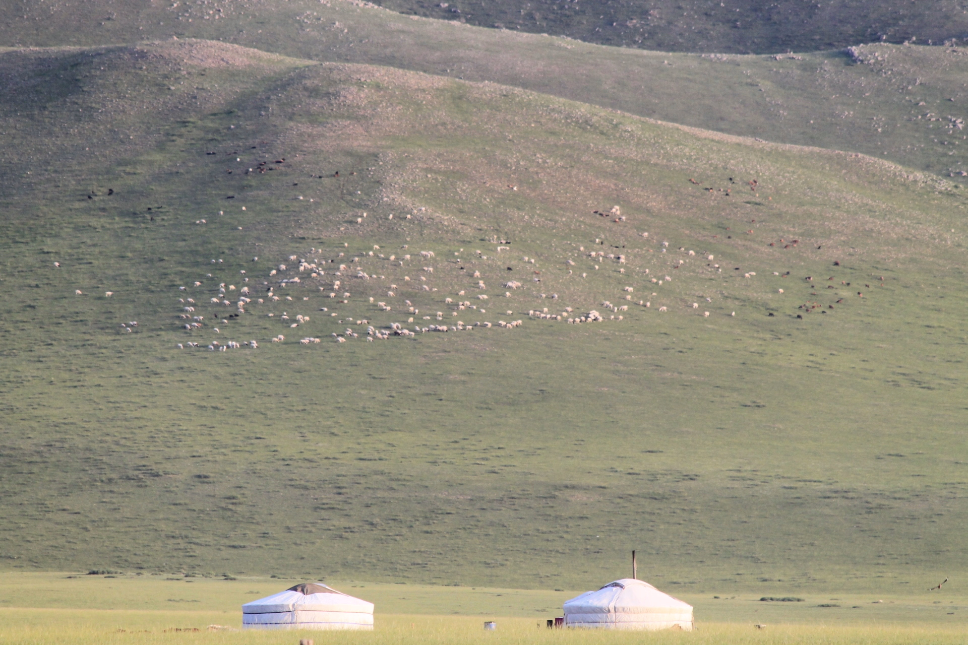 Trek et expédition 4x4 dans le désert de Gobi