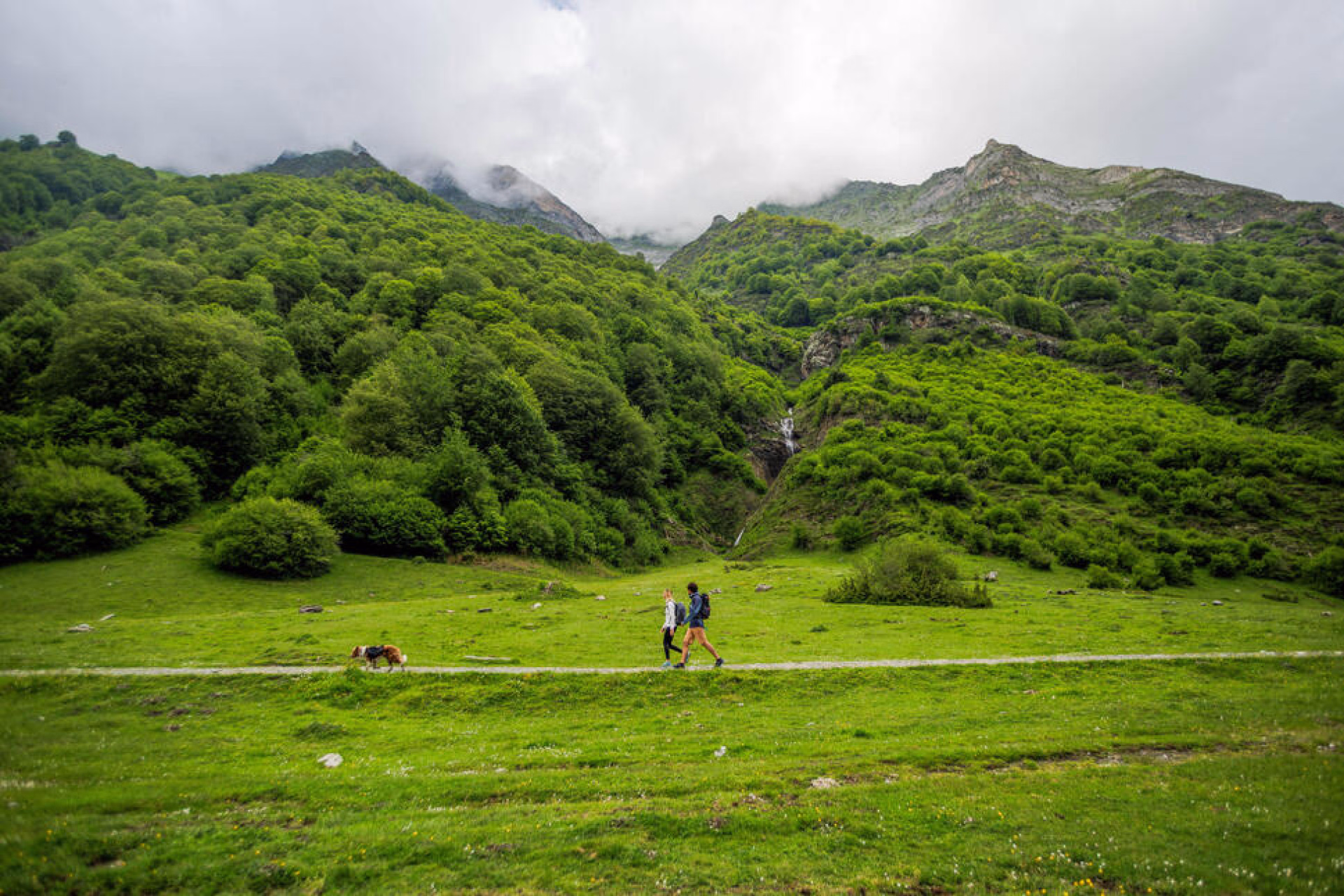 séjour cani sport