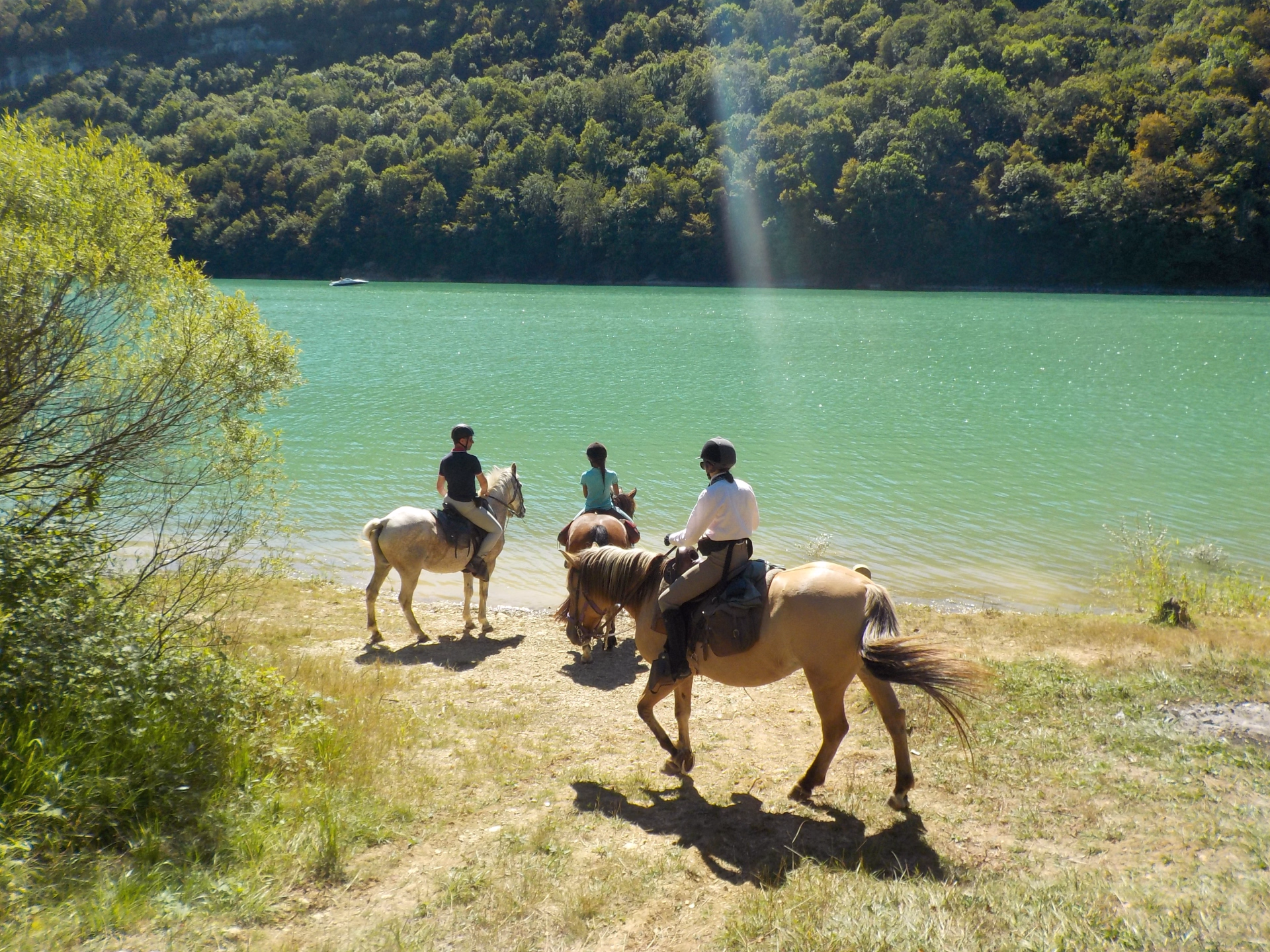 Rando à cheval au fil des lacs et cascades du Haut-Jura