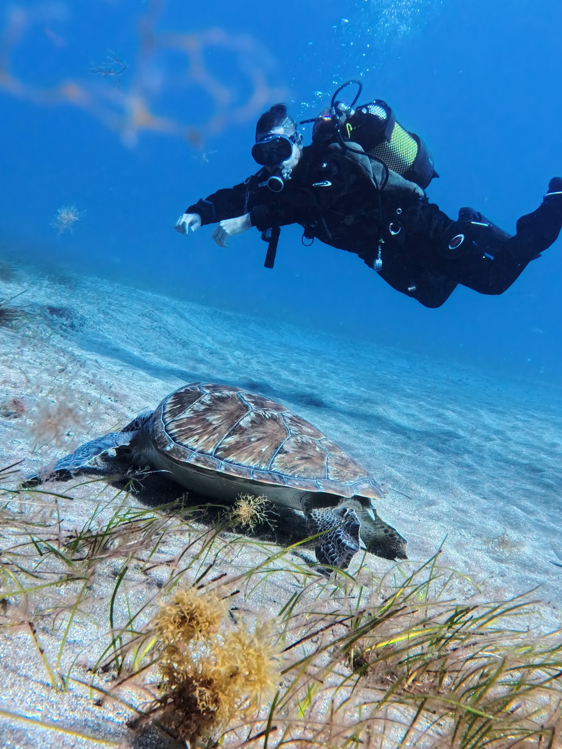 Améliorez vos compétences en plongée : cours SSI Advanced à Tenerife