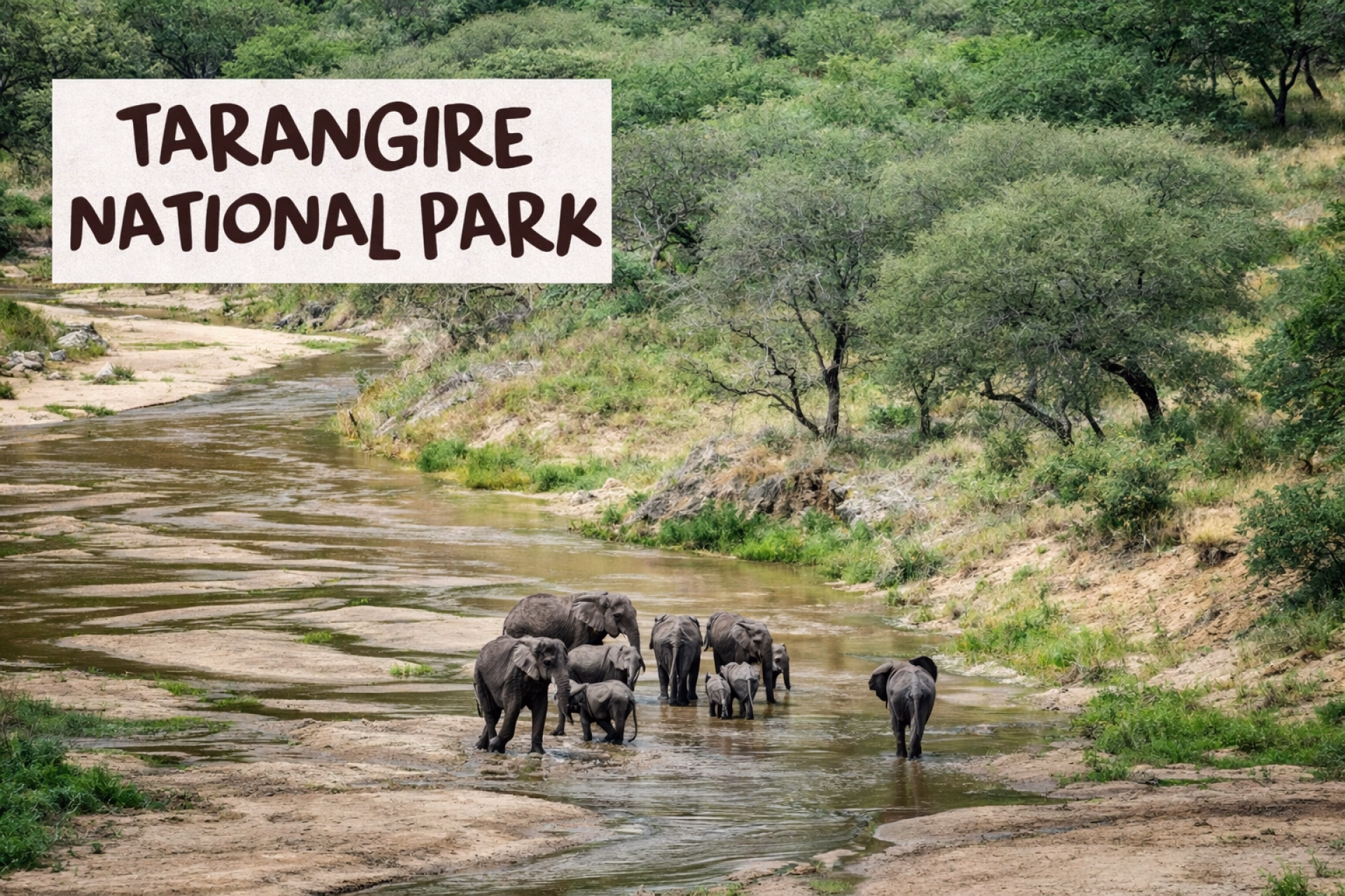 Aventure Tanzanie : Kilimandjaro, safari et plages de Zanzibar