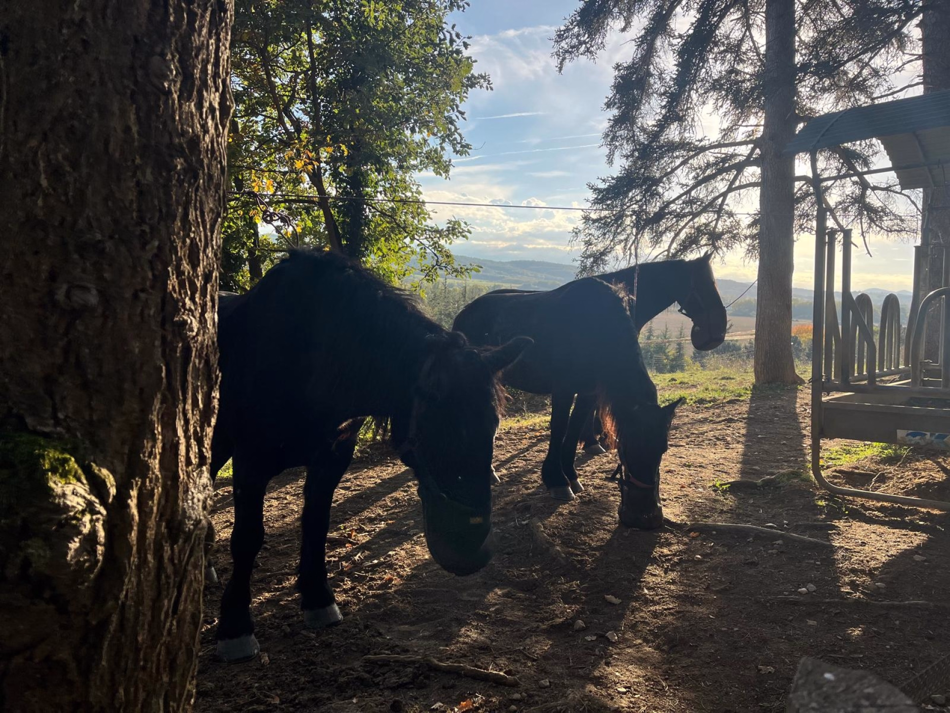 Belles demeures en Pyrénées cathares à cheval