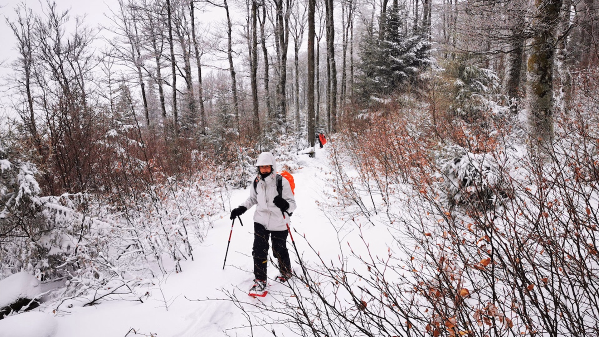 Lac Blanc : 4 jours Nouvel An dans les Vosges en raquettes accompagné