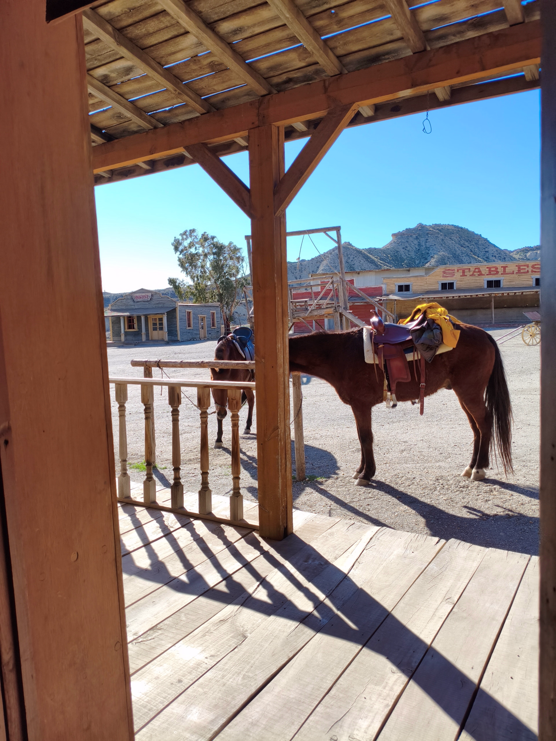 Randonnée équestre dans le désert de Tabernas