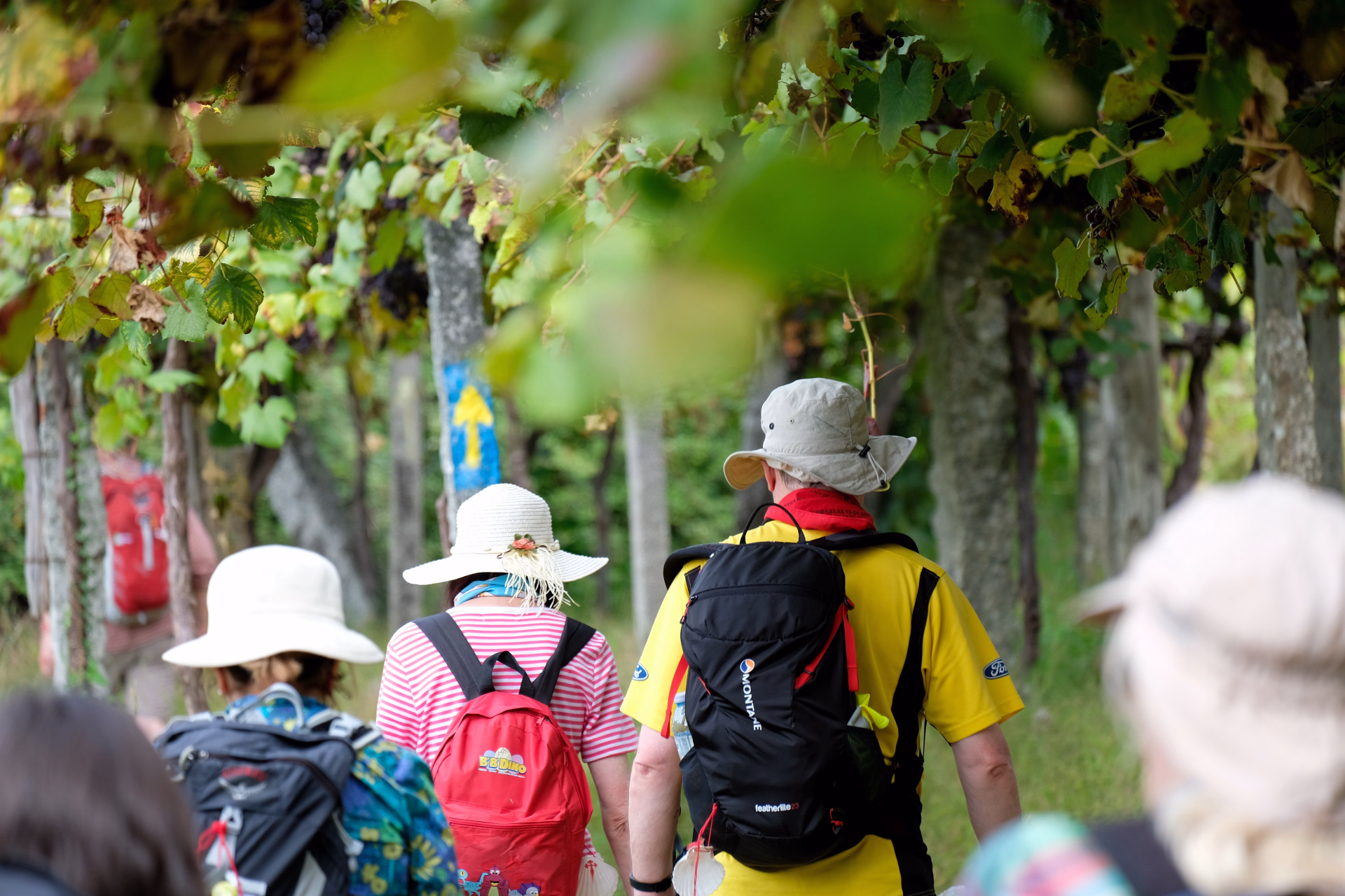 Les Chemins de Compostelle - Chemin Côtier de Oia à St Jacques