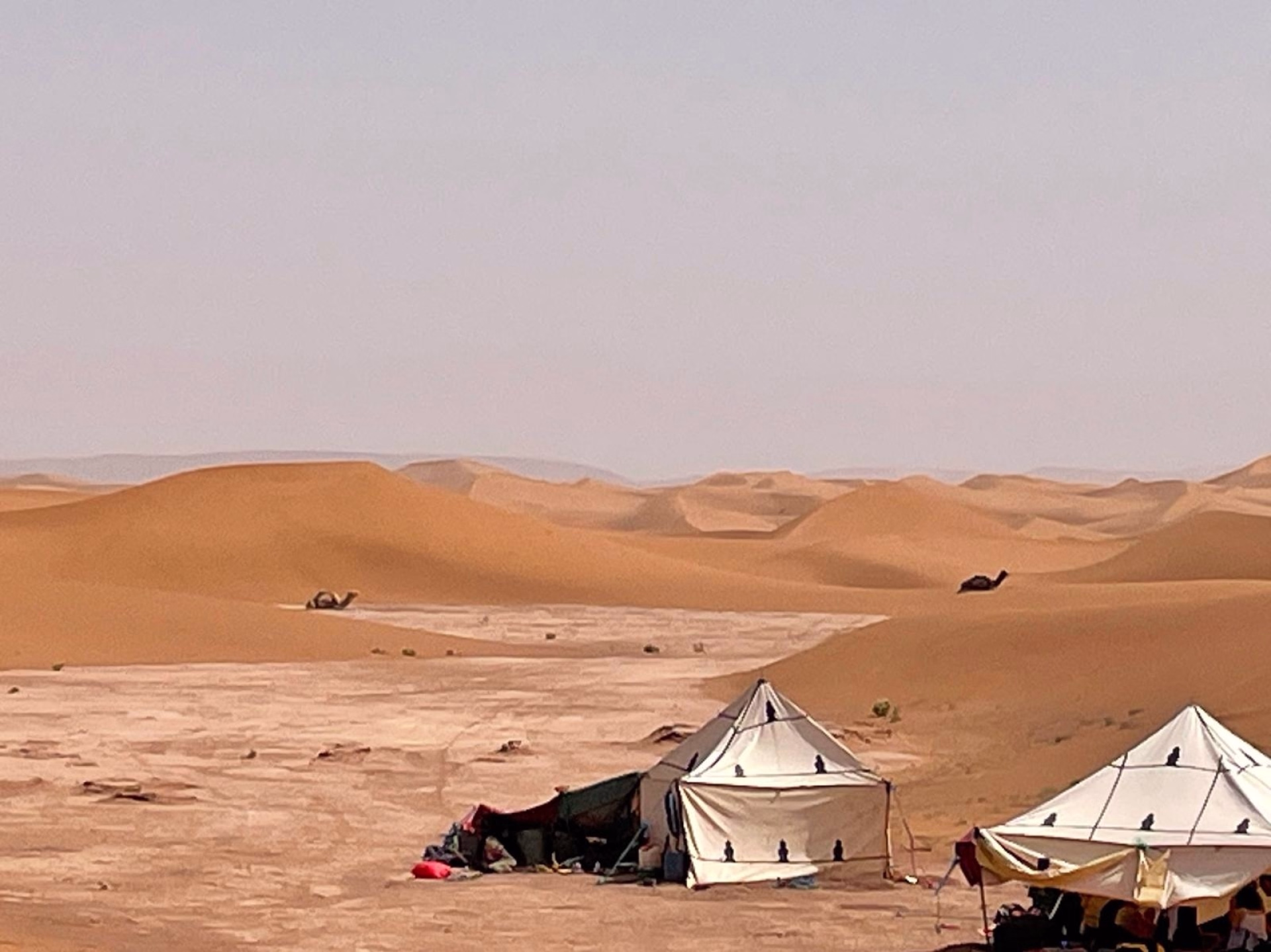 Trek désert Maroc : une aventure au rythme des nomades