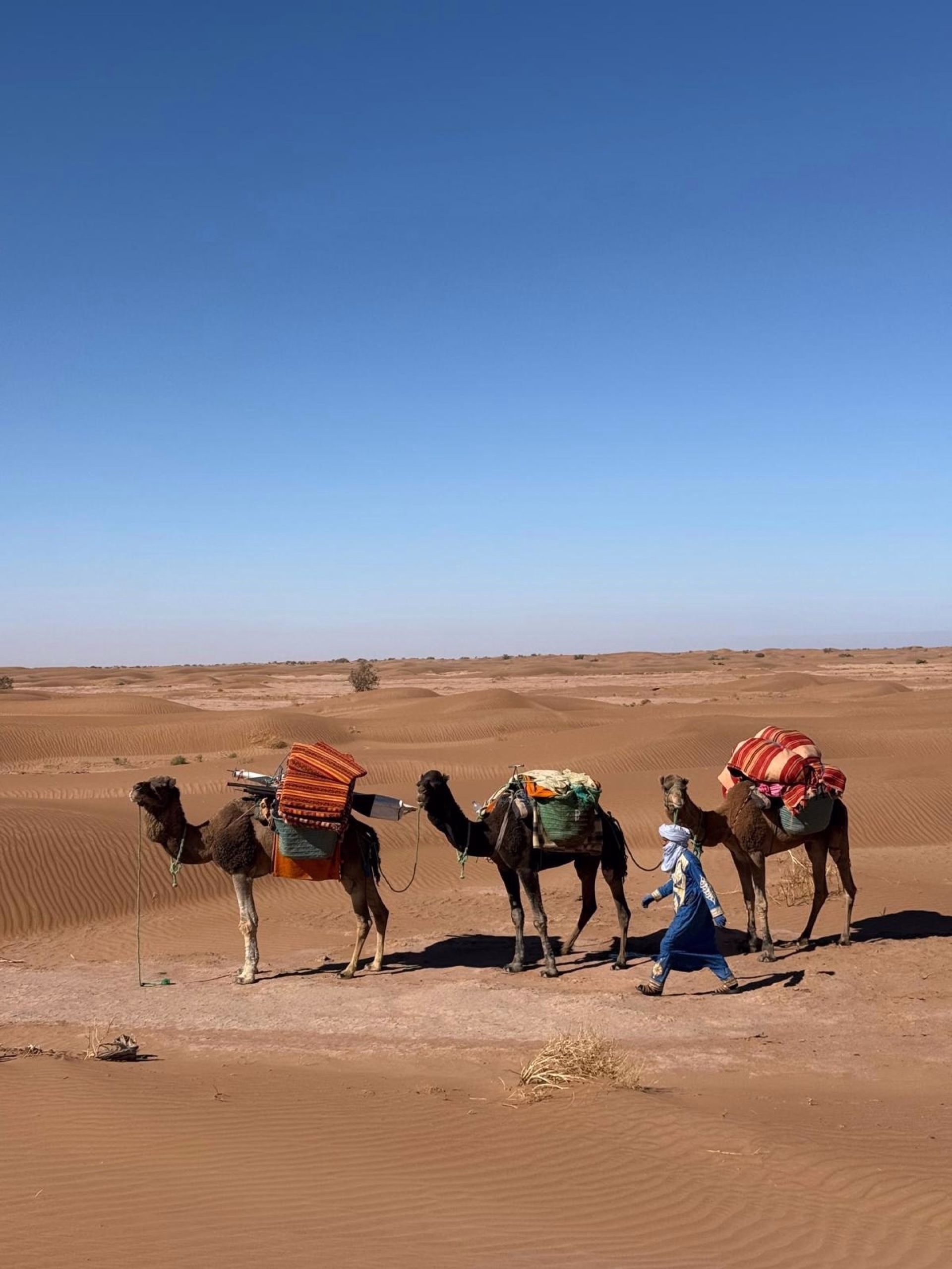 4 jours au cœur des dunes du Sahara marocain
