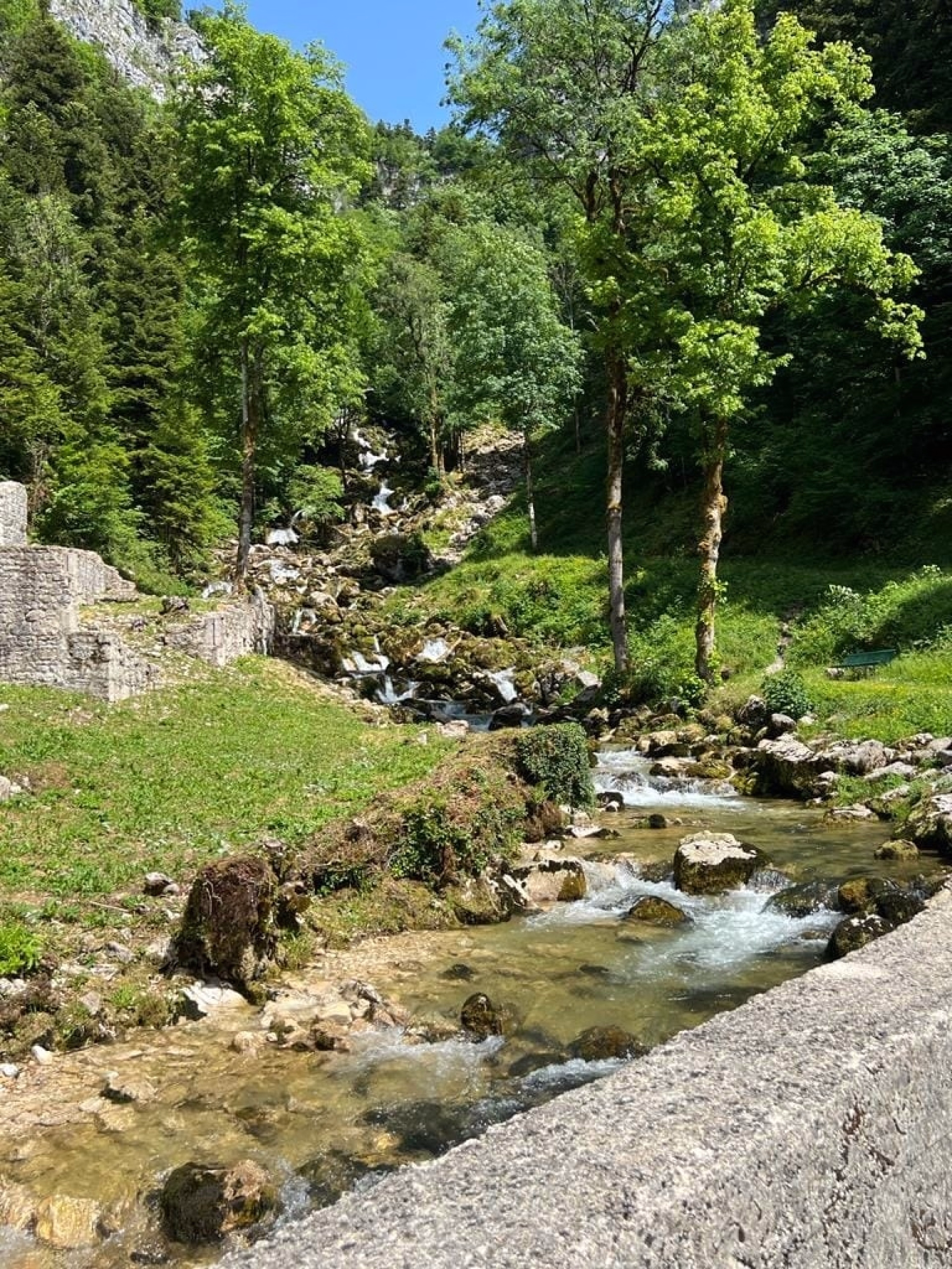 Week-end randonnée équestre au cœur du Haut-Jura