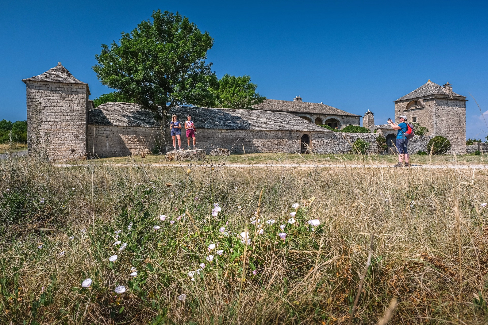 Randonnée dans les Grands Causses : du Larzac au pays Cévenol