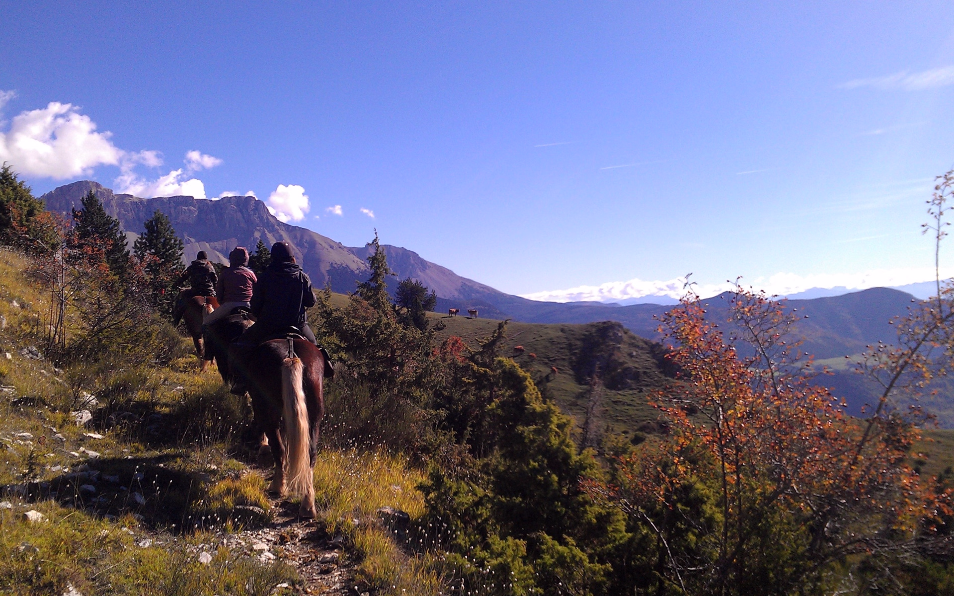 3 jours à cheval au cœur des Hautes-Alpes