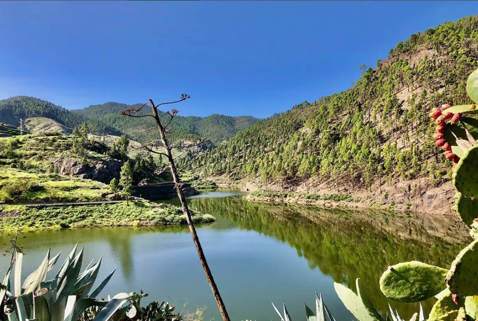 Randonnée sur le Camino del Guanche (GR131)