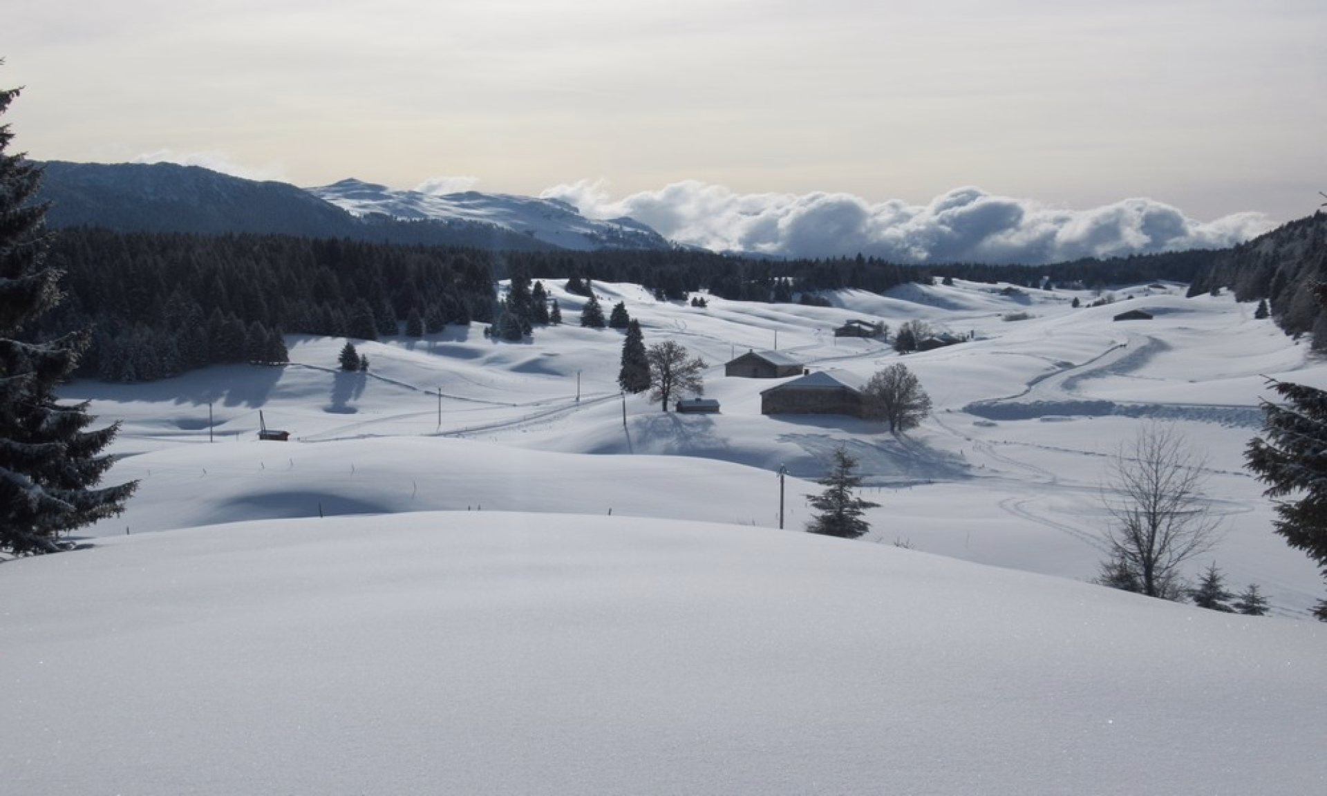 Randonnée en raquettes dans les Hautes Combes du Jura