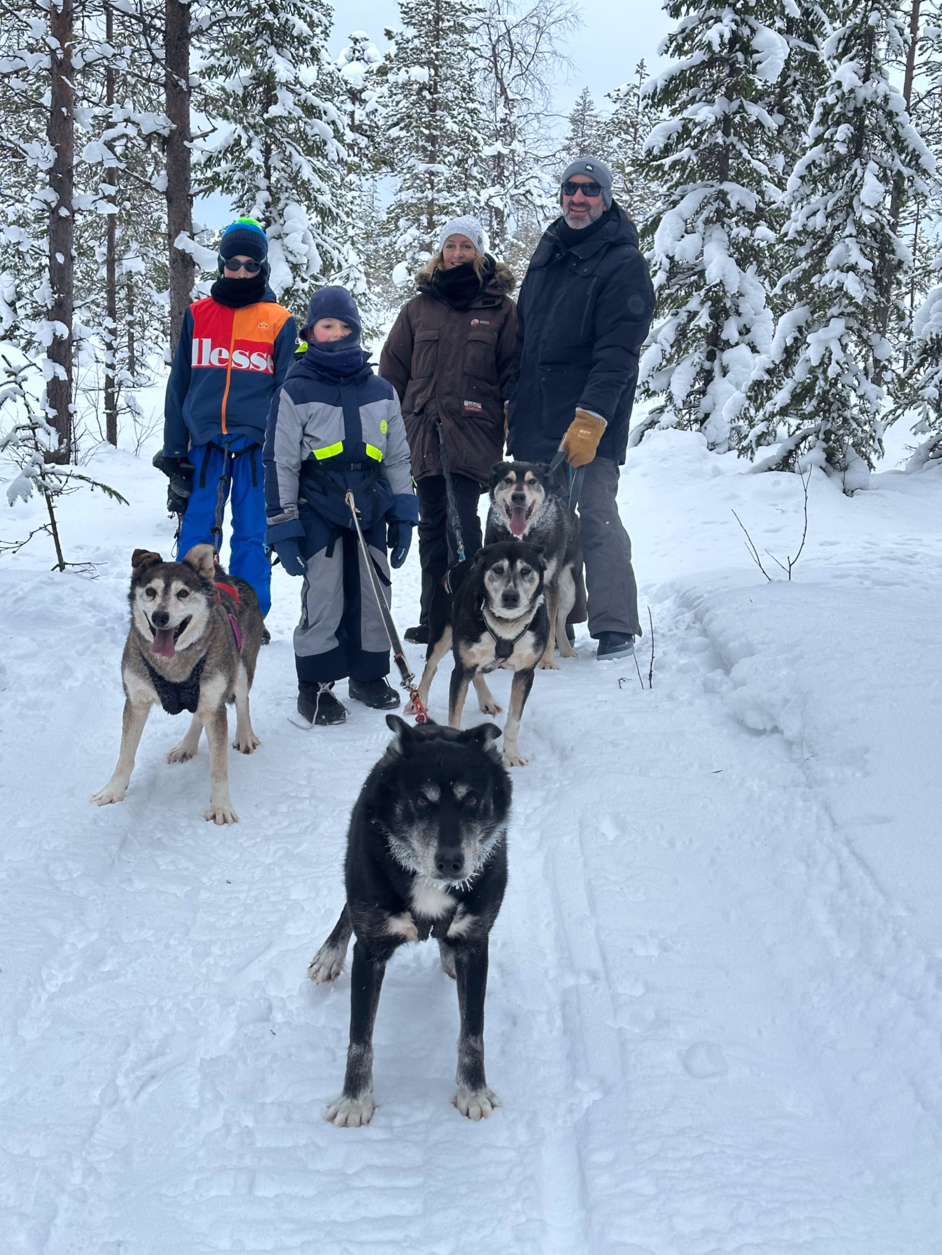 Multisport boréal et aurores en Laponie suédoise