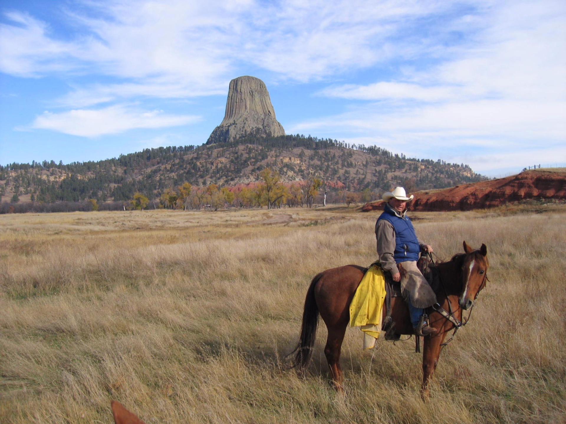 Immersion dans la vie des cowboys du Wyoming