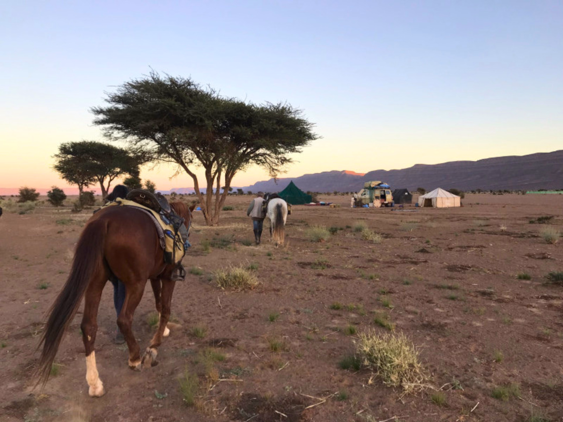 Randonnée équestre dans le désert du Sahara