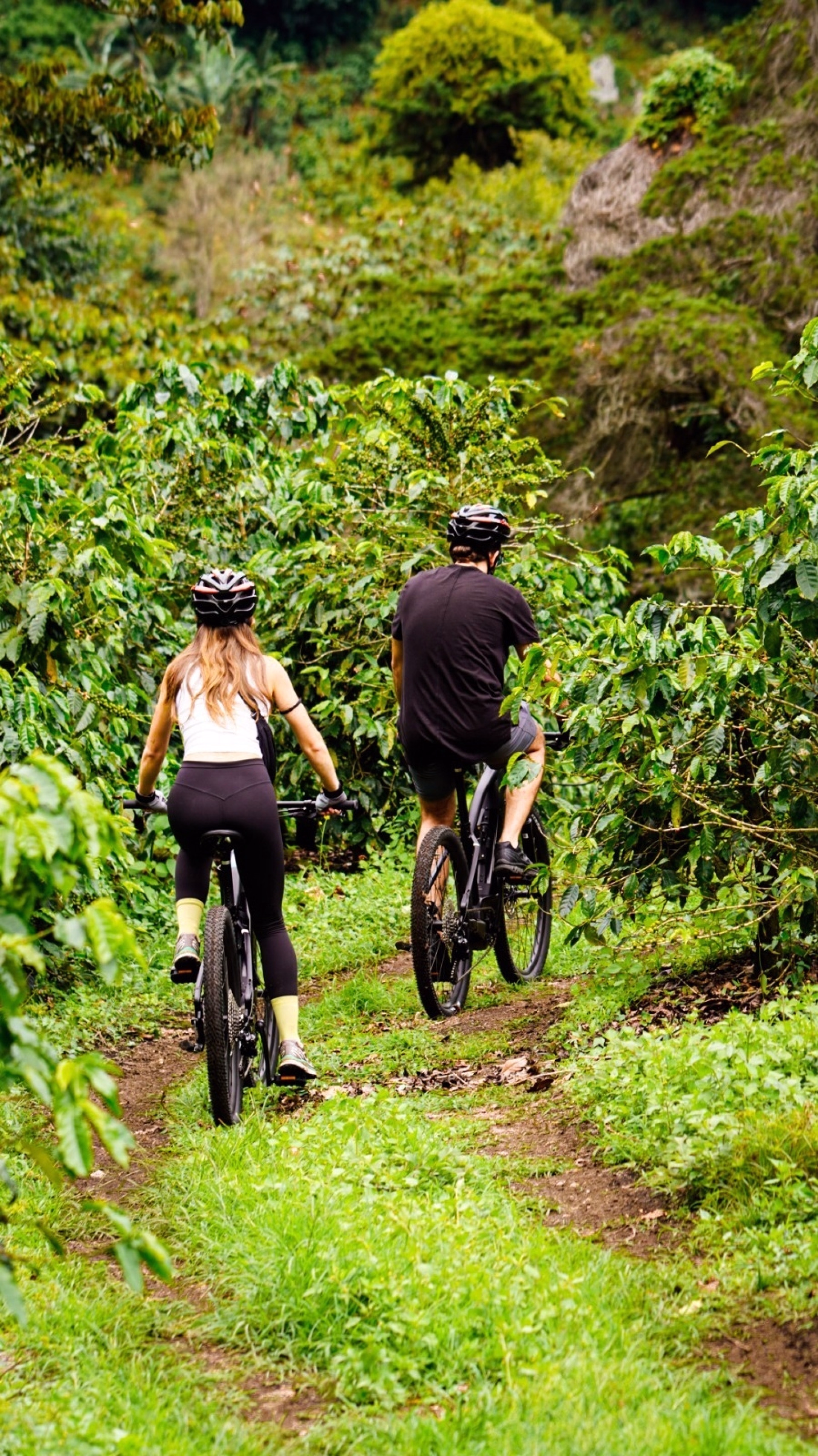 À vélo à travers Panama : un périple entre ville, canal et cratères