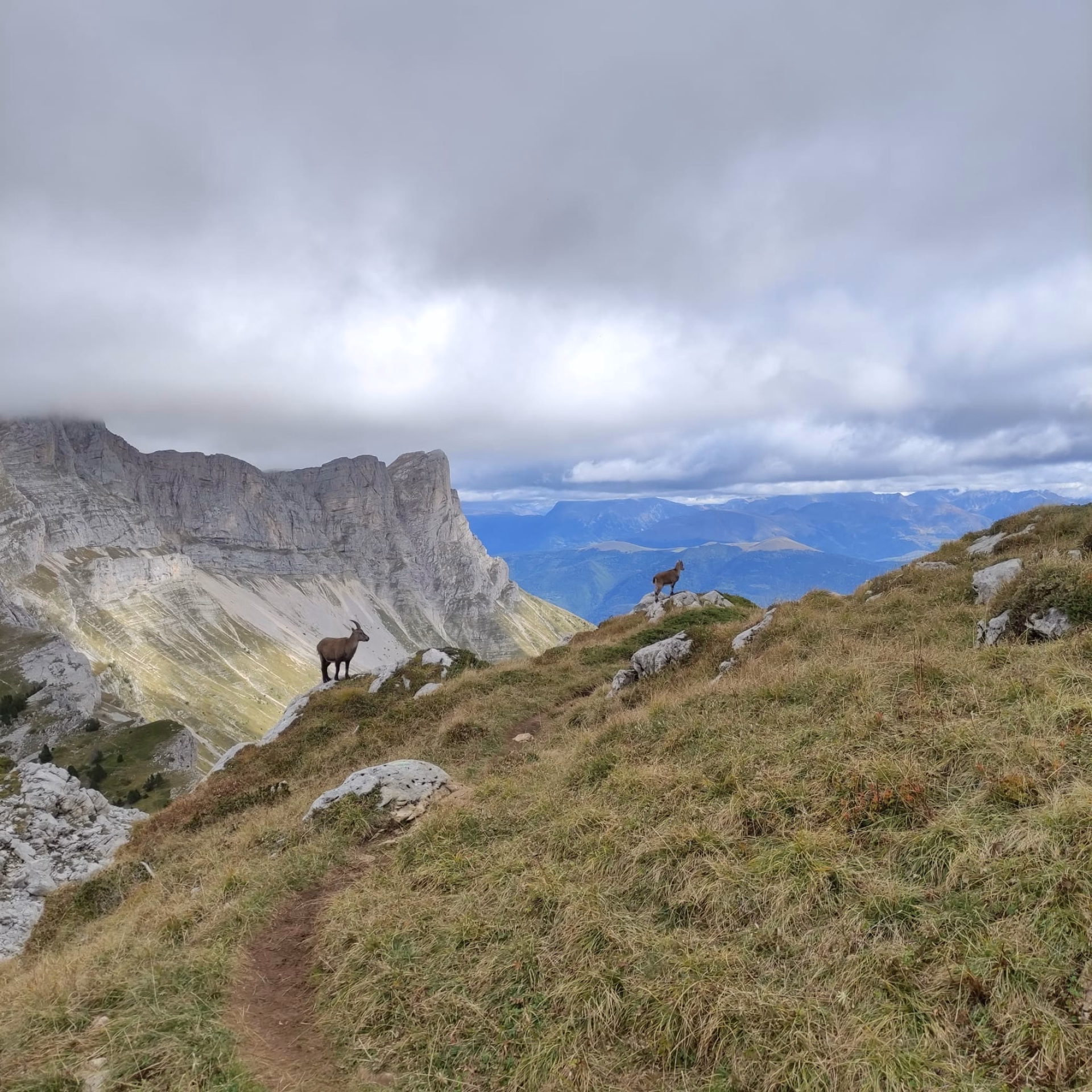 Stage de trail dans le massif du Vercors