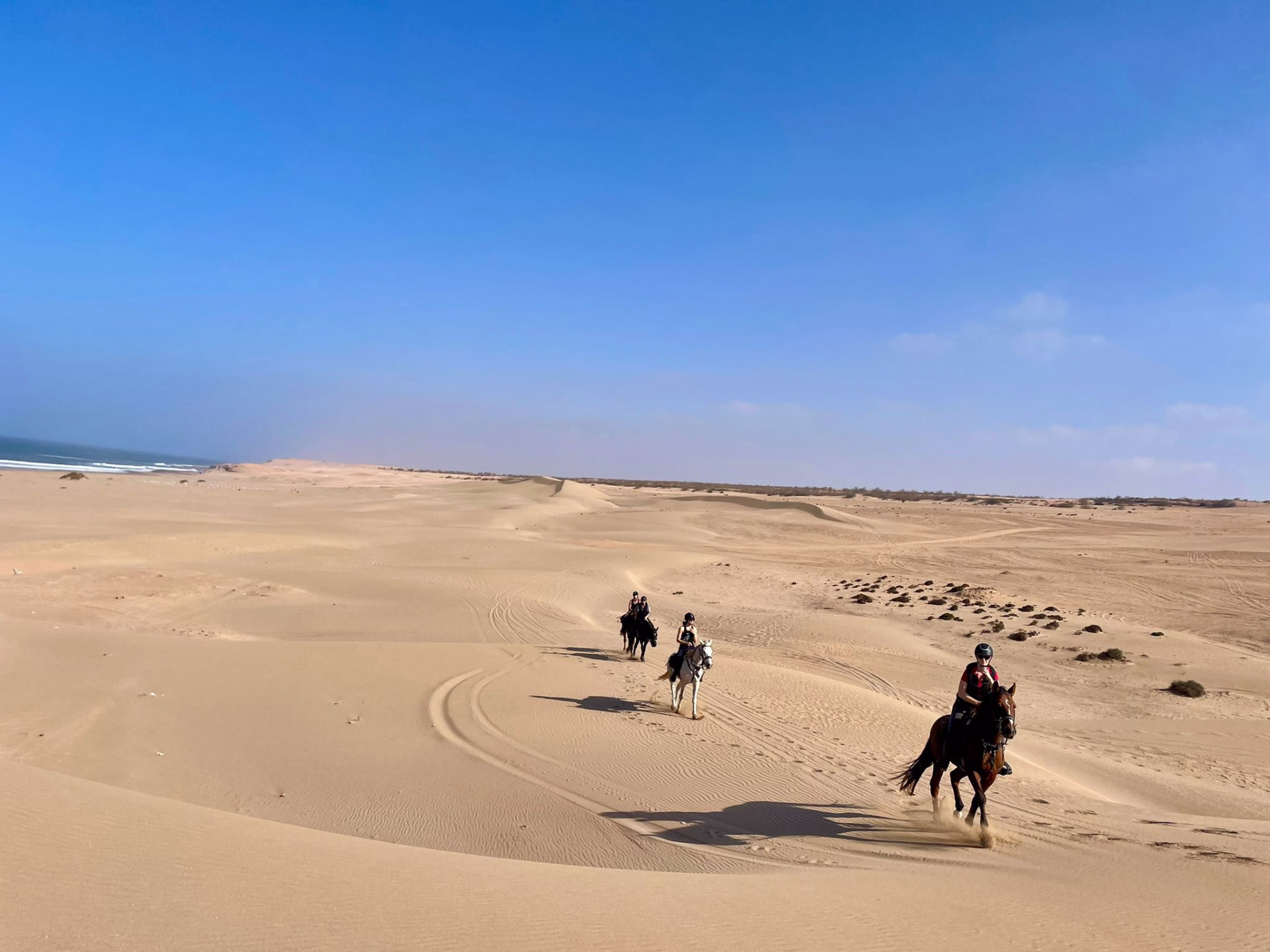 Randonnée équestre entre plages, déserts et palmeraies au Maroc