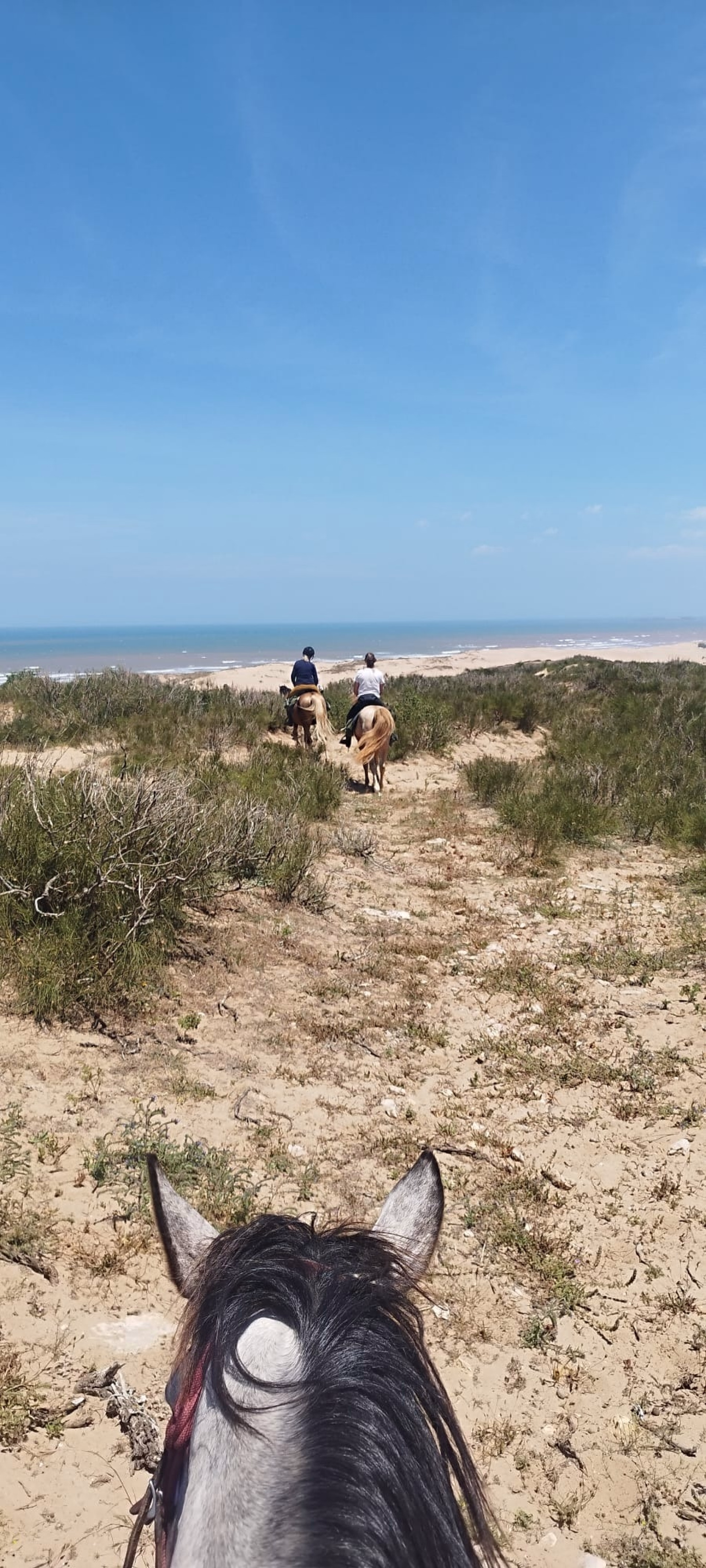 La Boucle d'Iftane - Randonnée équestre à Essaouira