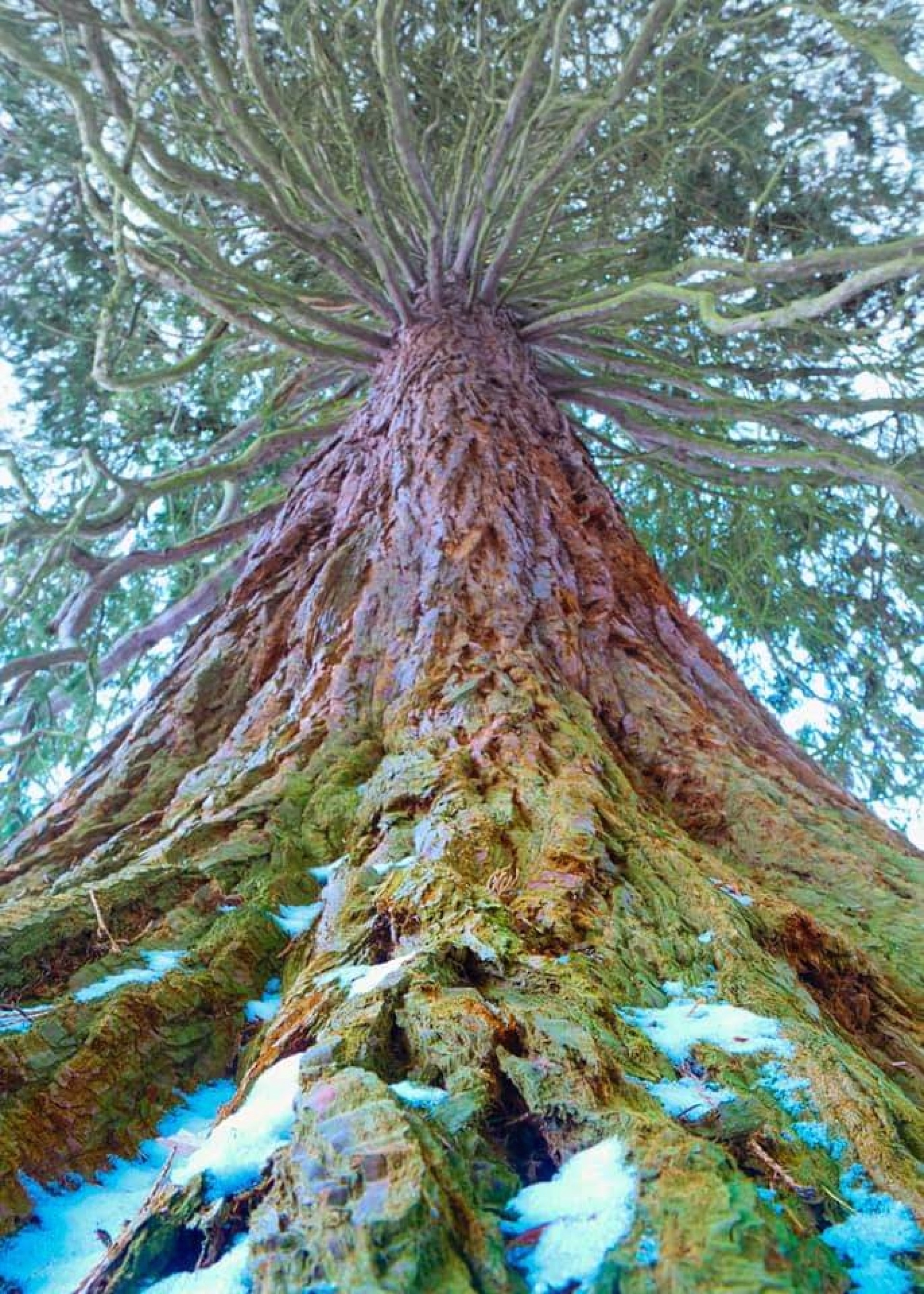 Randonnée et bien-être au féminin au cœur des Vosges
